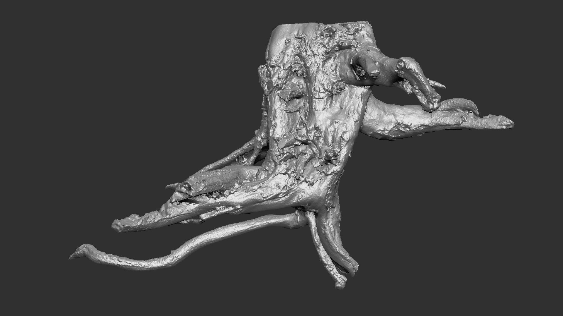 3d scan tree root in highpoly 3D model_15