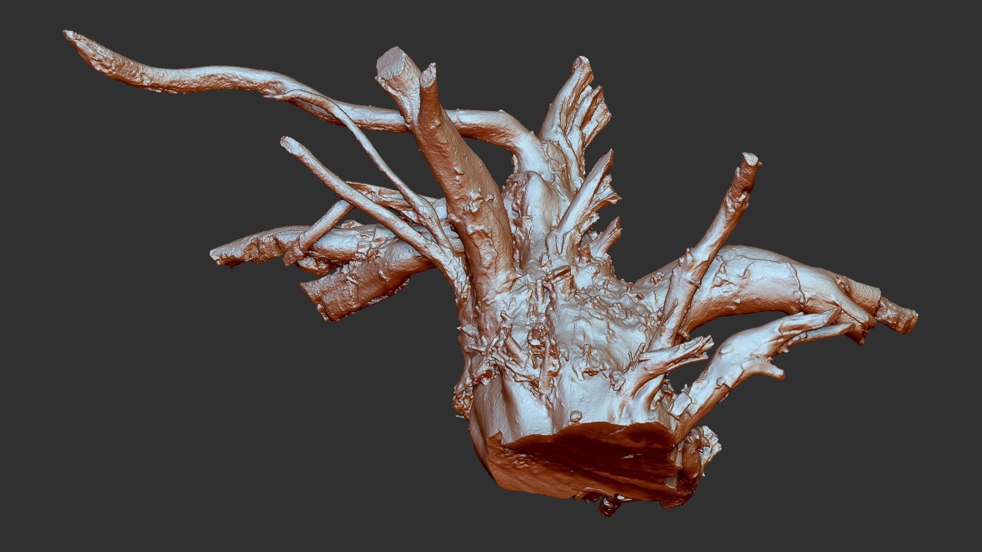 3d scan tree root in highpoly 3D model_24