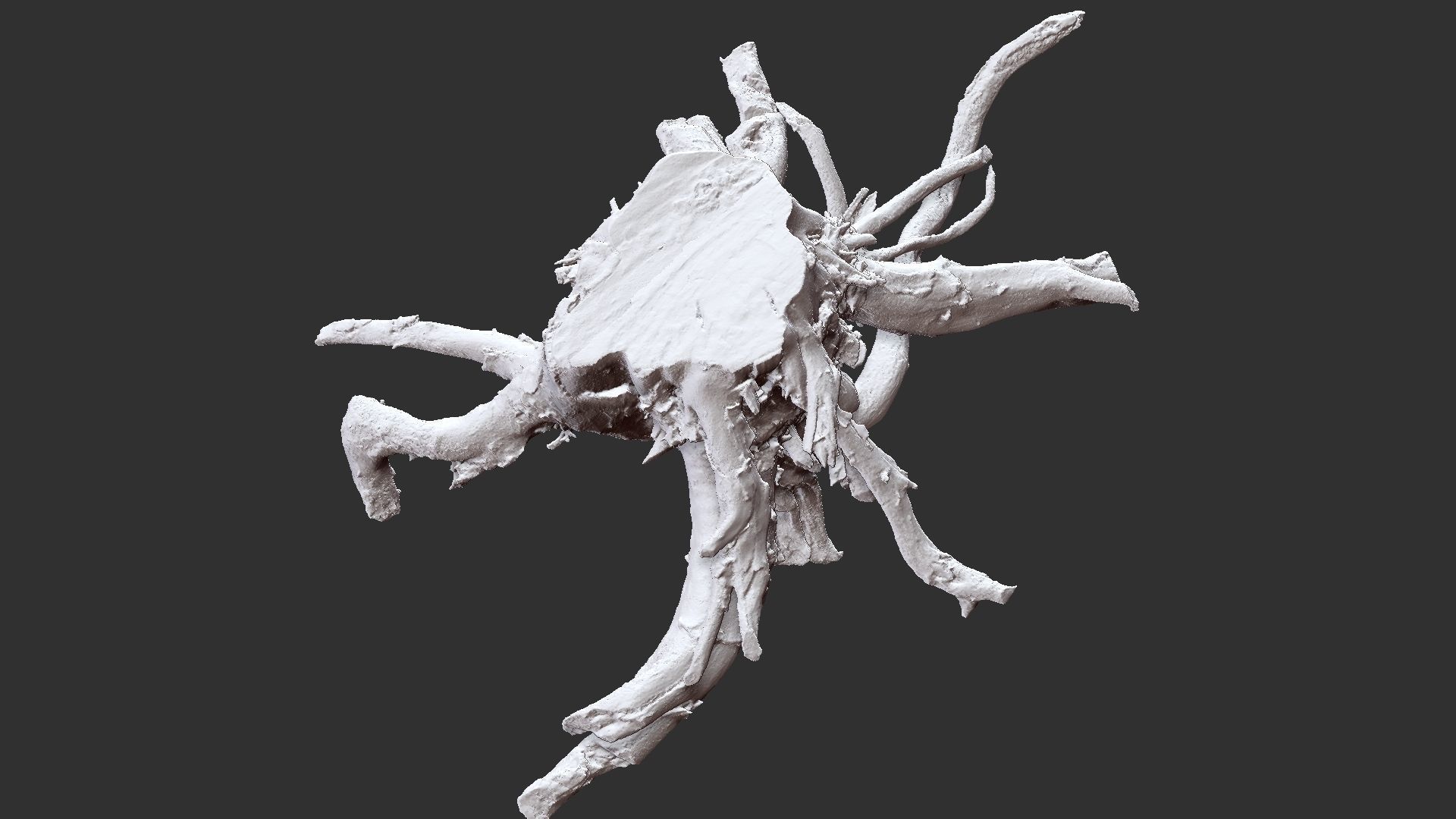3d scan tree root in highpoly 3D model_9