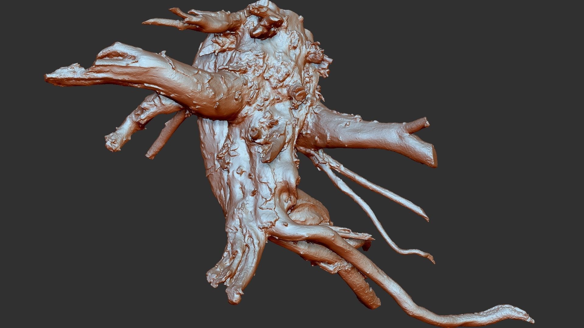 3d scan tree root in highpoly 3D model_23