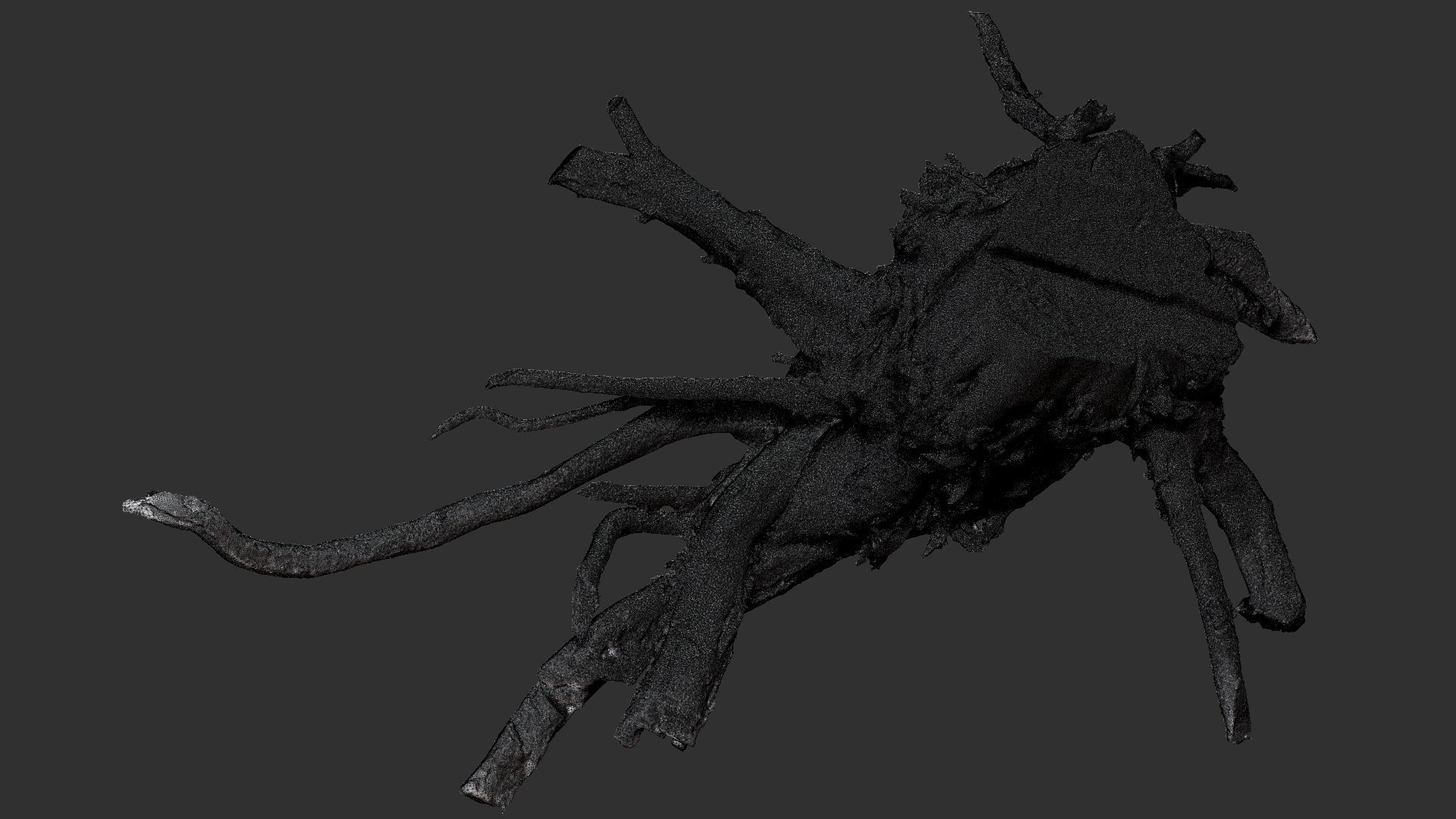 3d scan tree root in highpoly 3D model_28