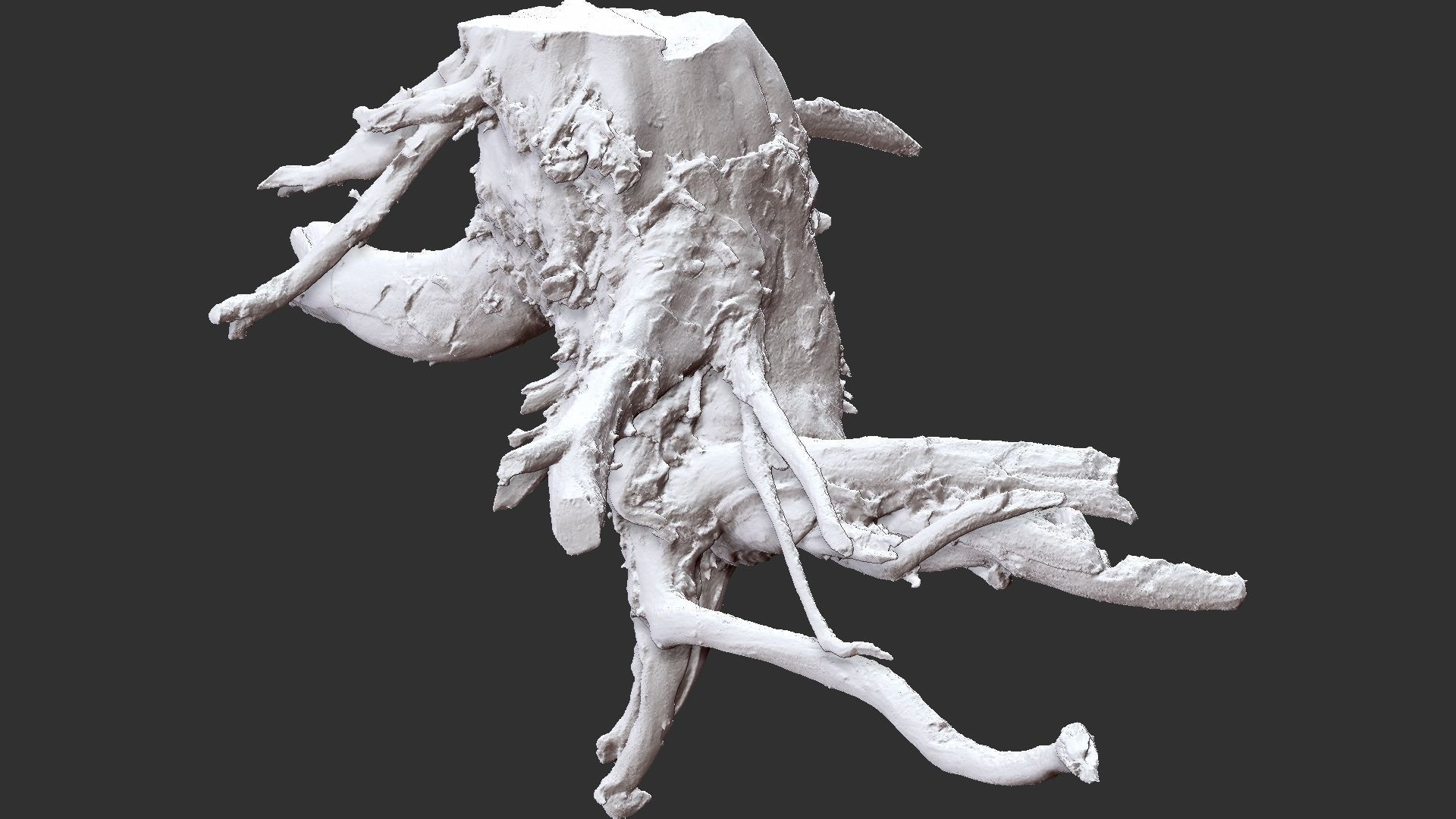 3d scan tree root in highpoly 3D model_2