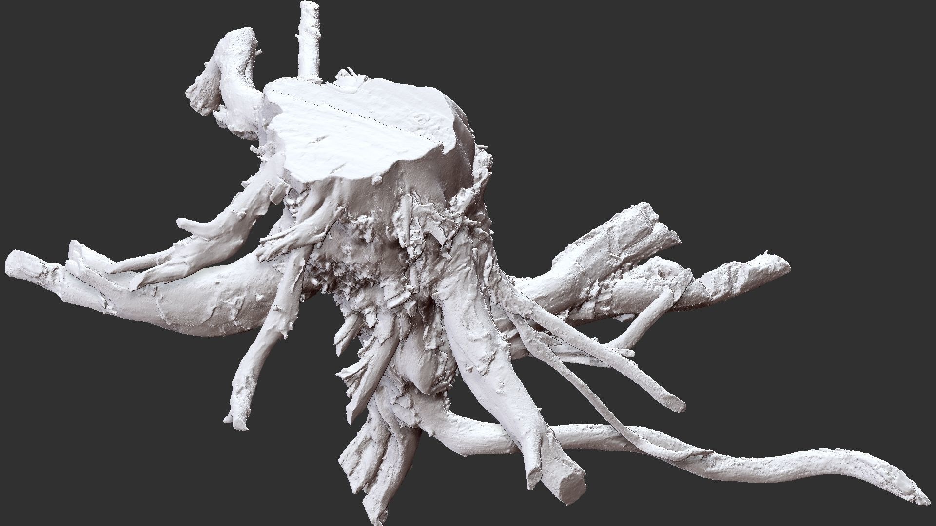 3d scan tree root in highpoly 3D model_1