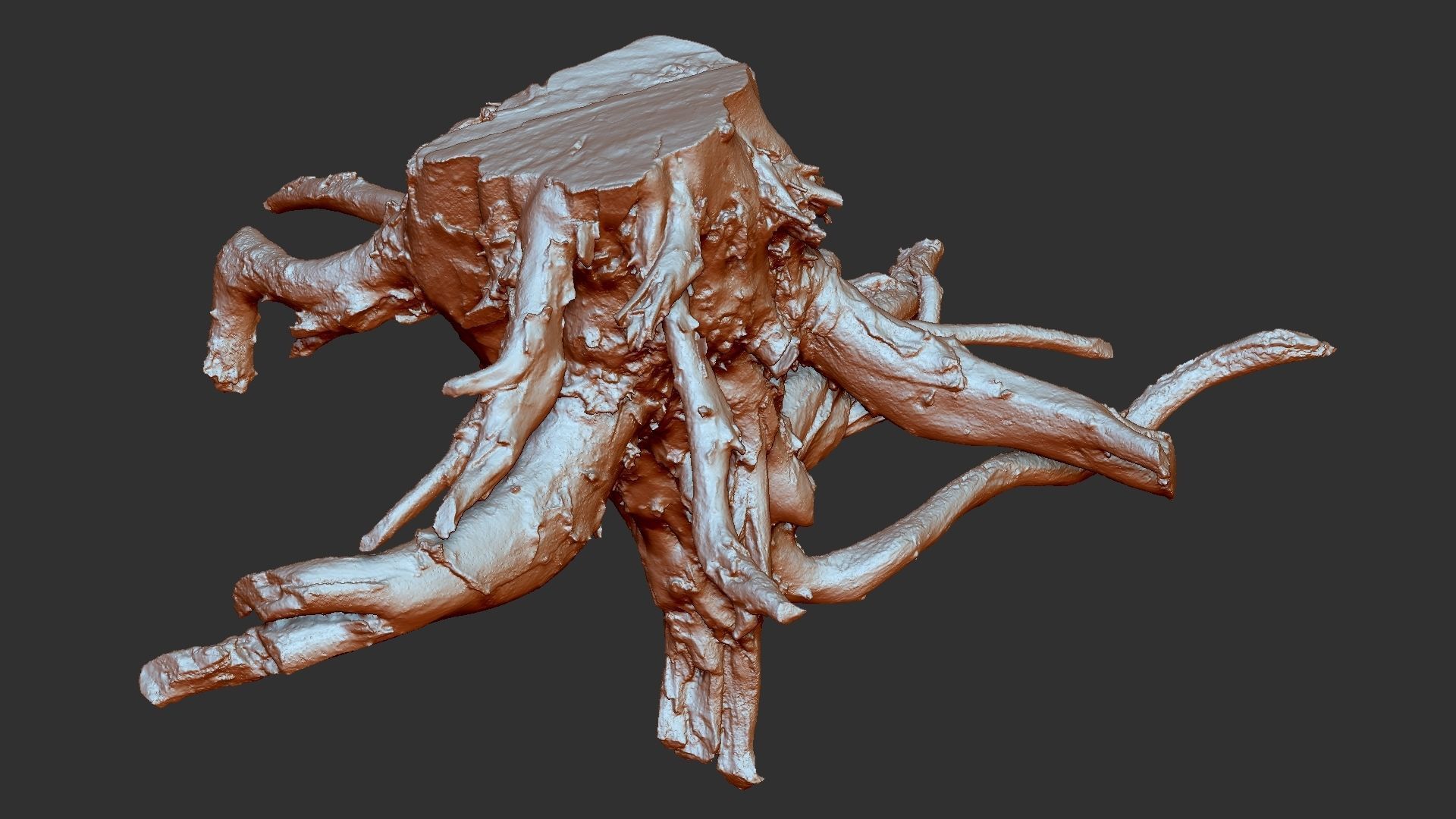 3d scan tree root in highpoly 3D model_22