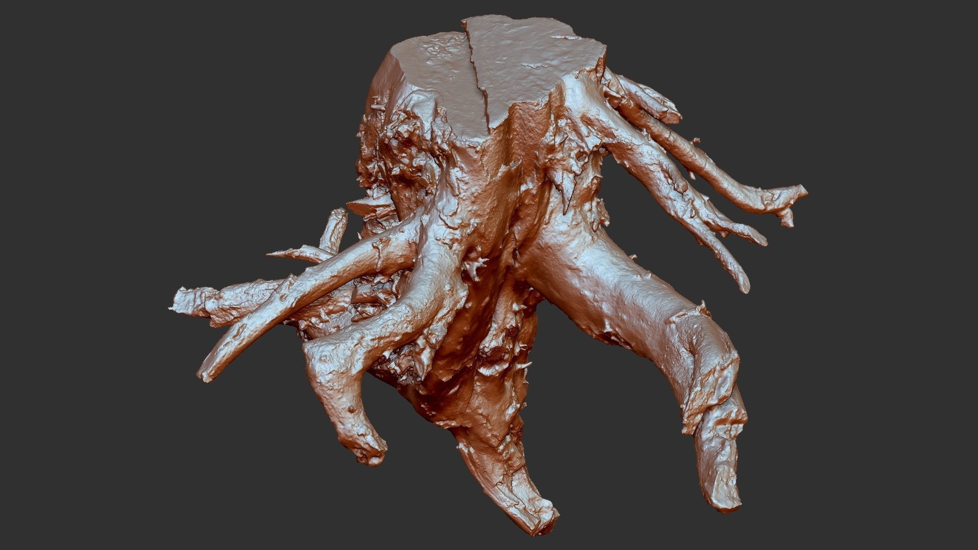 3d scan tree root in highpoly 3D model_21