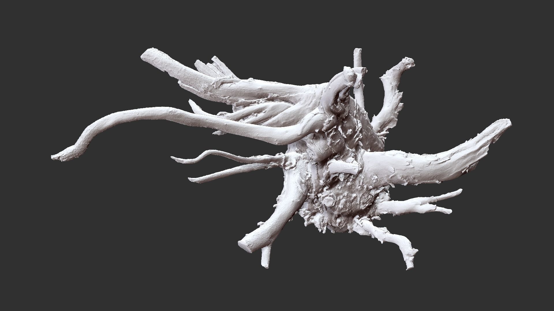 3d scan tree root in highpoly 3D model_5