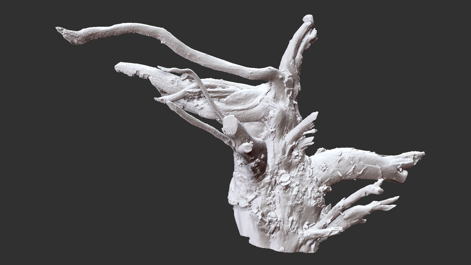 3d scan tree root in highpoly 3D model_8