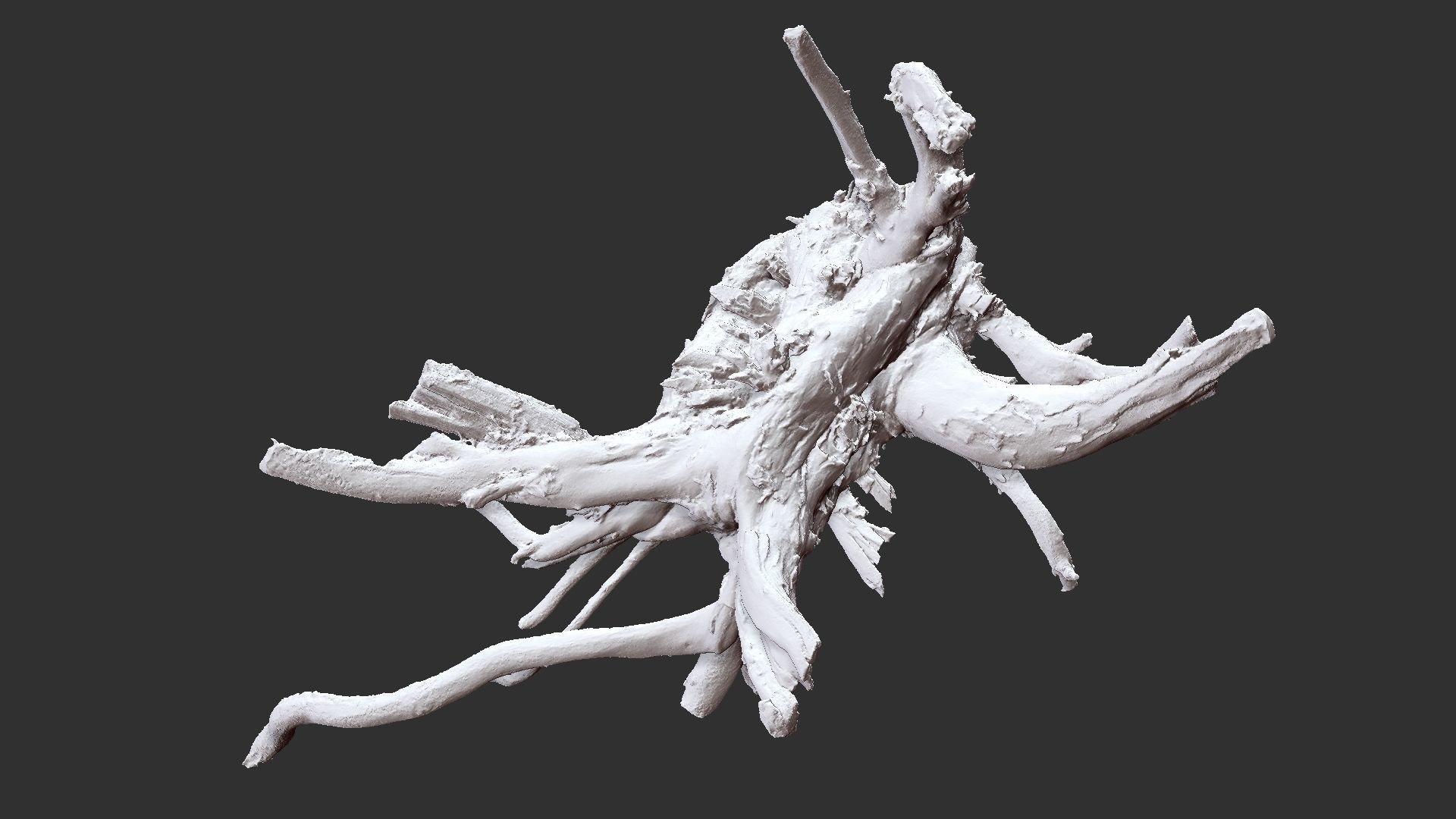 3d scan tree root in highpoly 3D model_4
