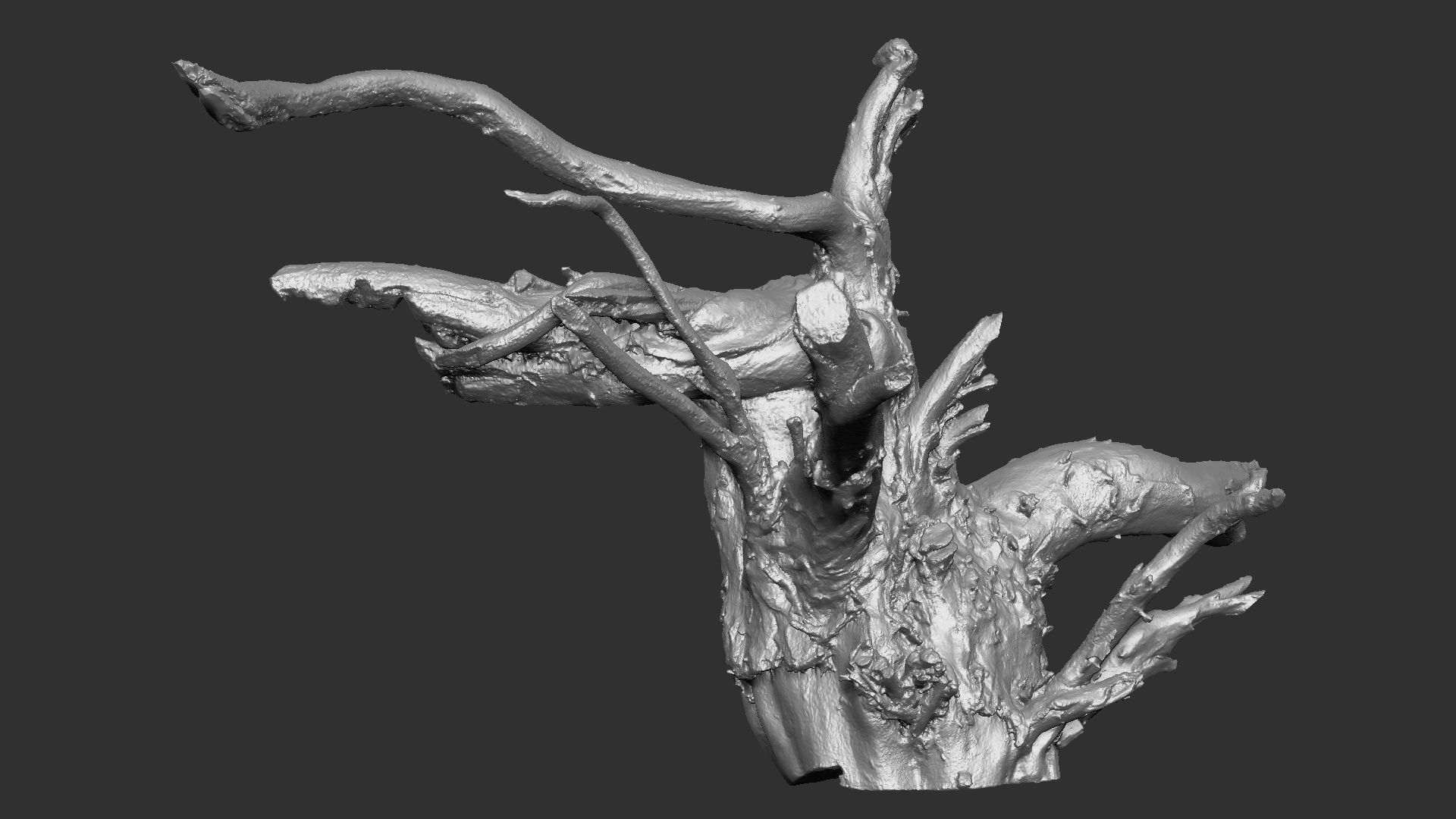 3d scan tree root in highpoly 3D model_20