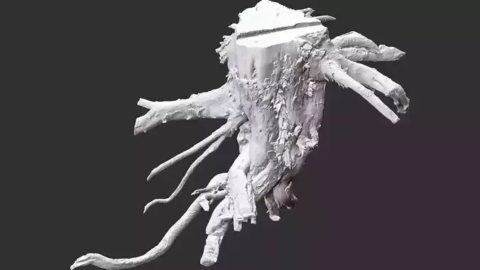 3d scan tree root in highpoly