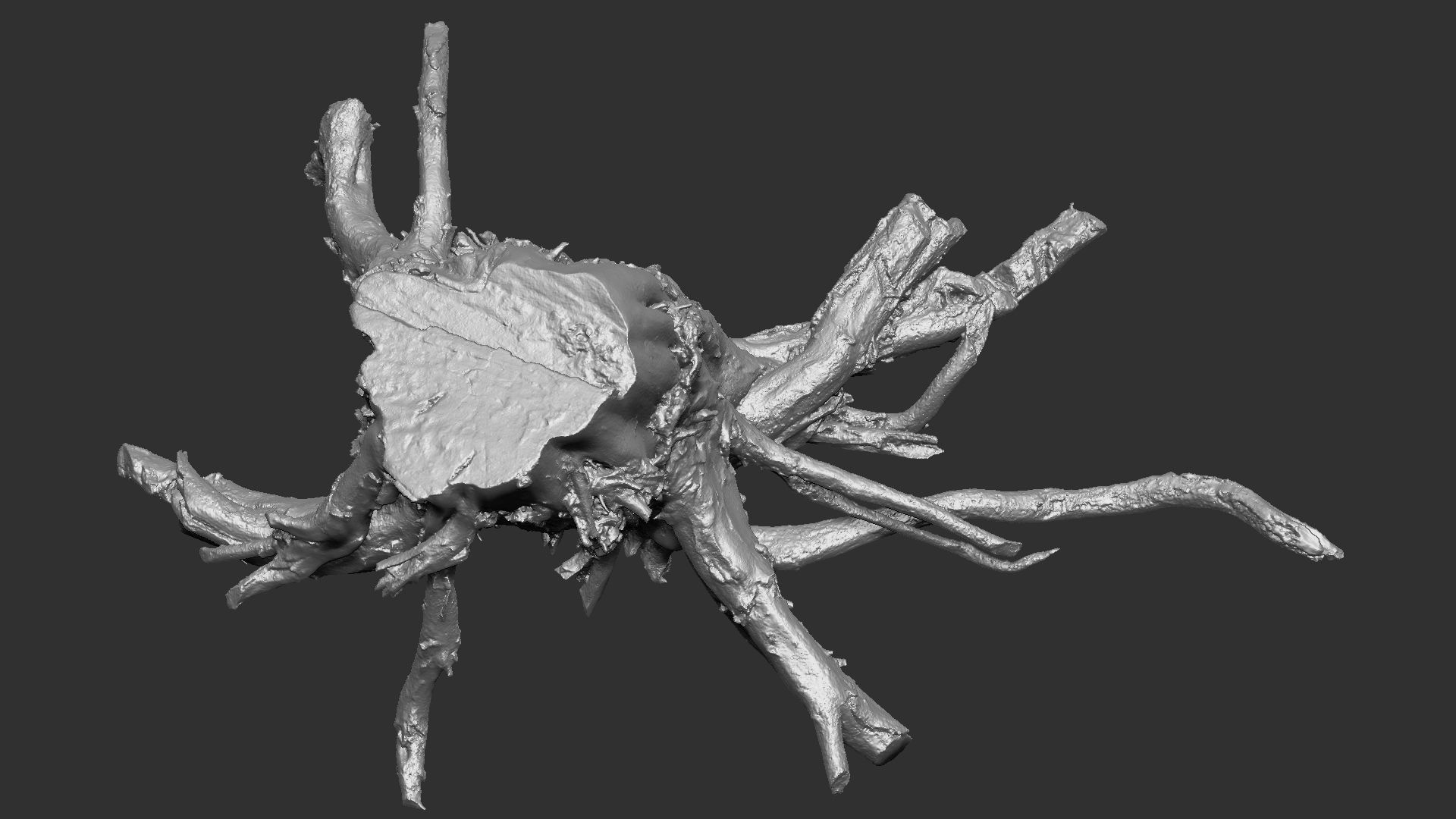3d scan tree root in highpoly 3D model_19