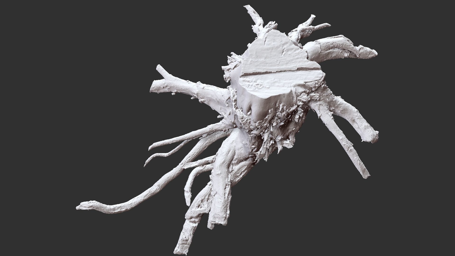 3d scan tree root in highpoly 3D model_7