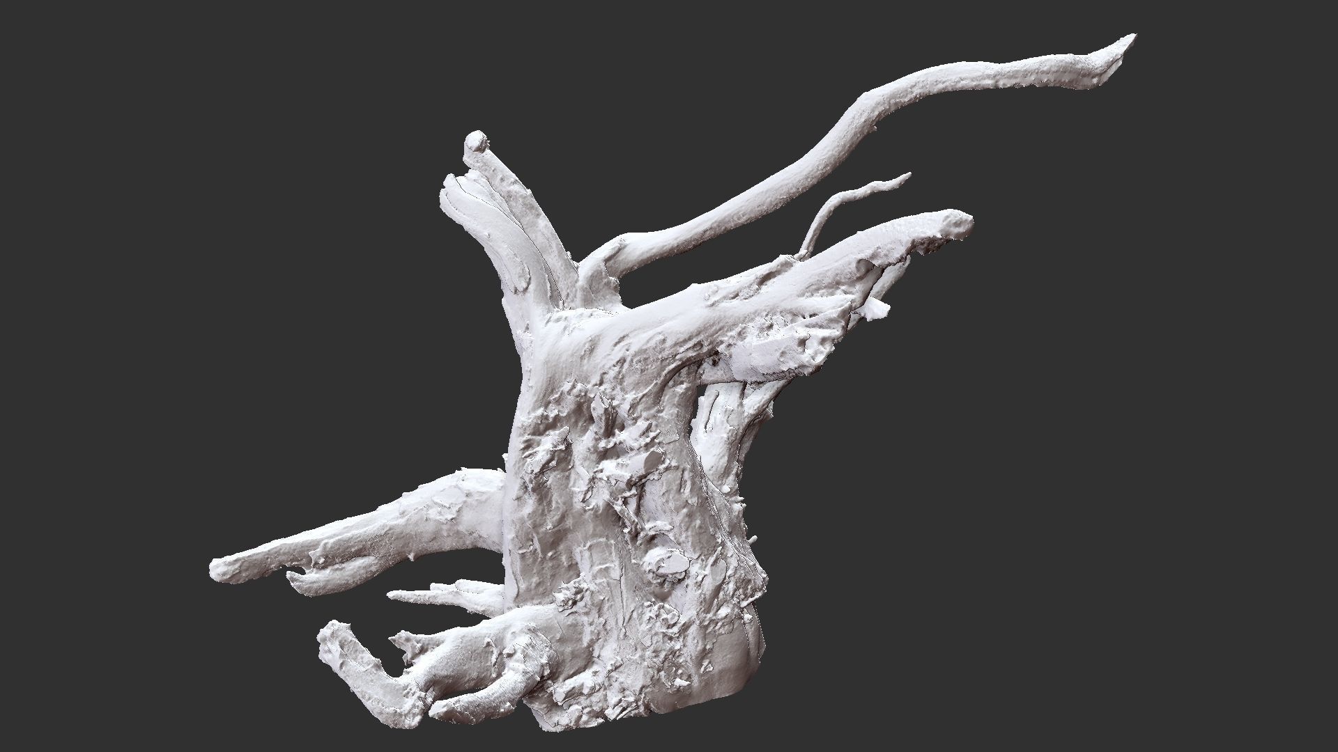 3d scan tree root in highpoly 3D model_11
