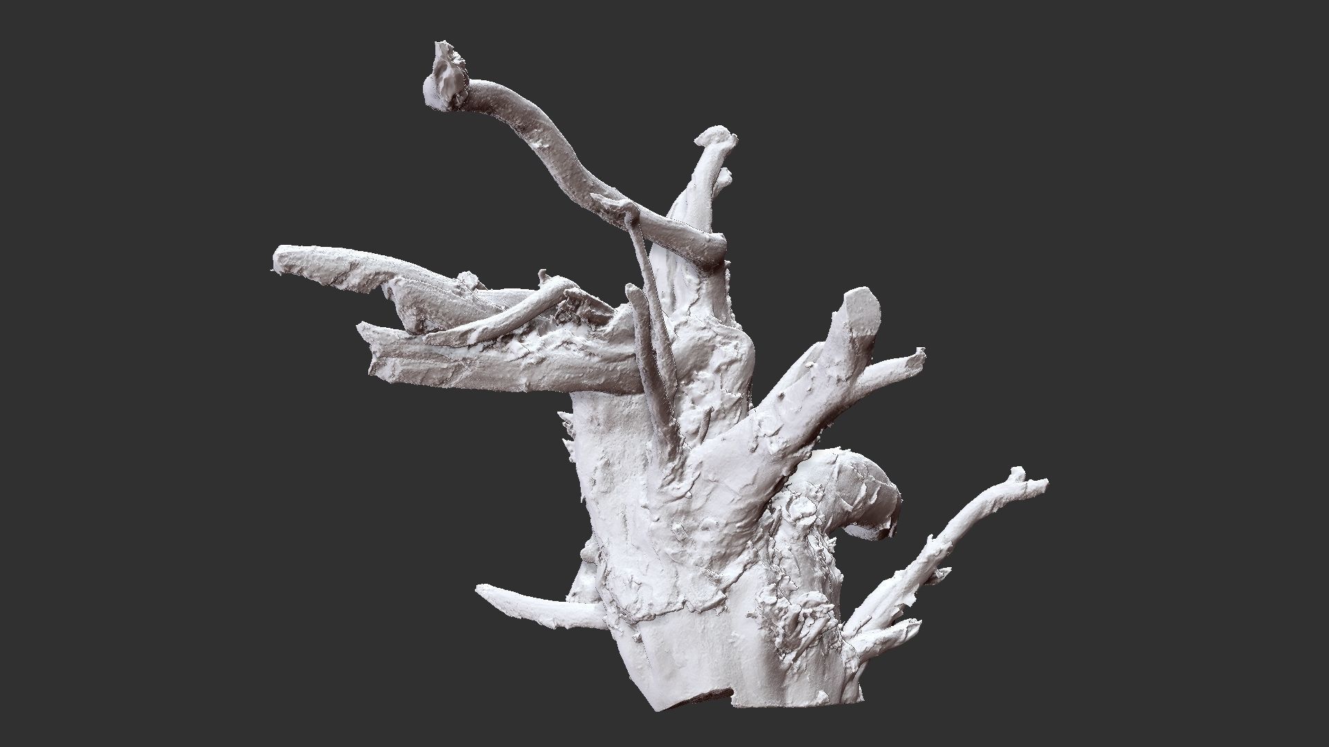 3d scan tree root in highpoly 3D model_13