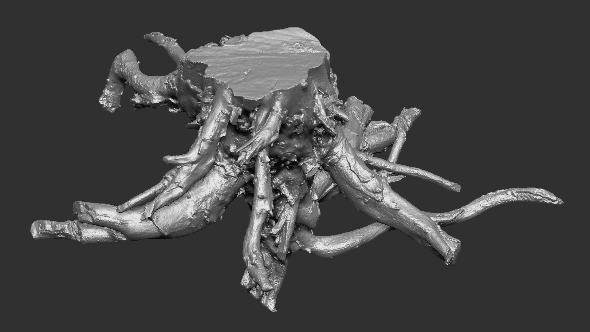 3d scan tree root in highpoly 3D model_18