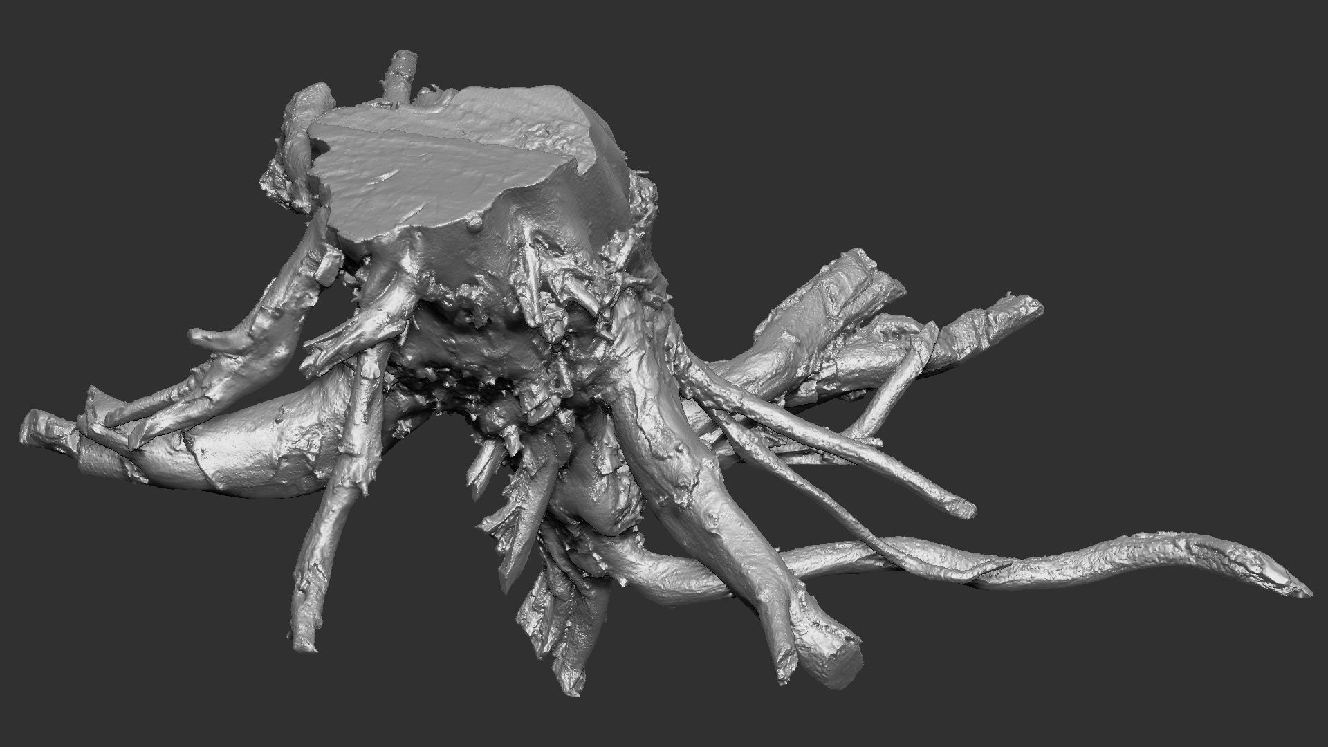 3d scan tree root in highpoly 3D model_14
