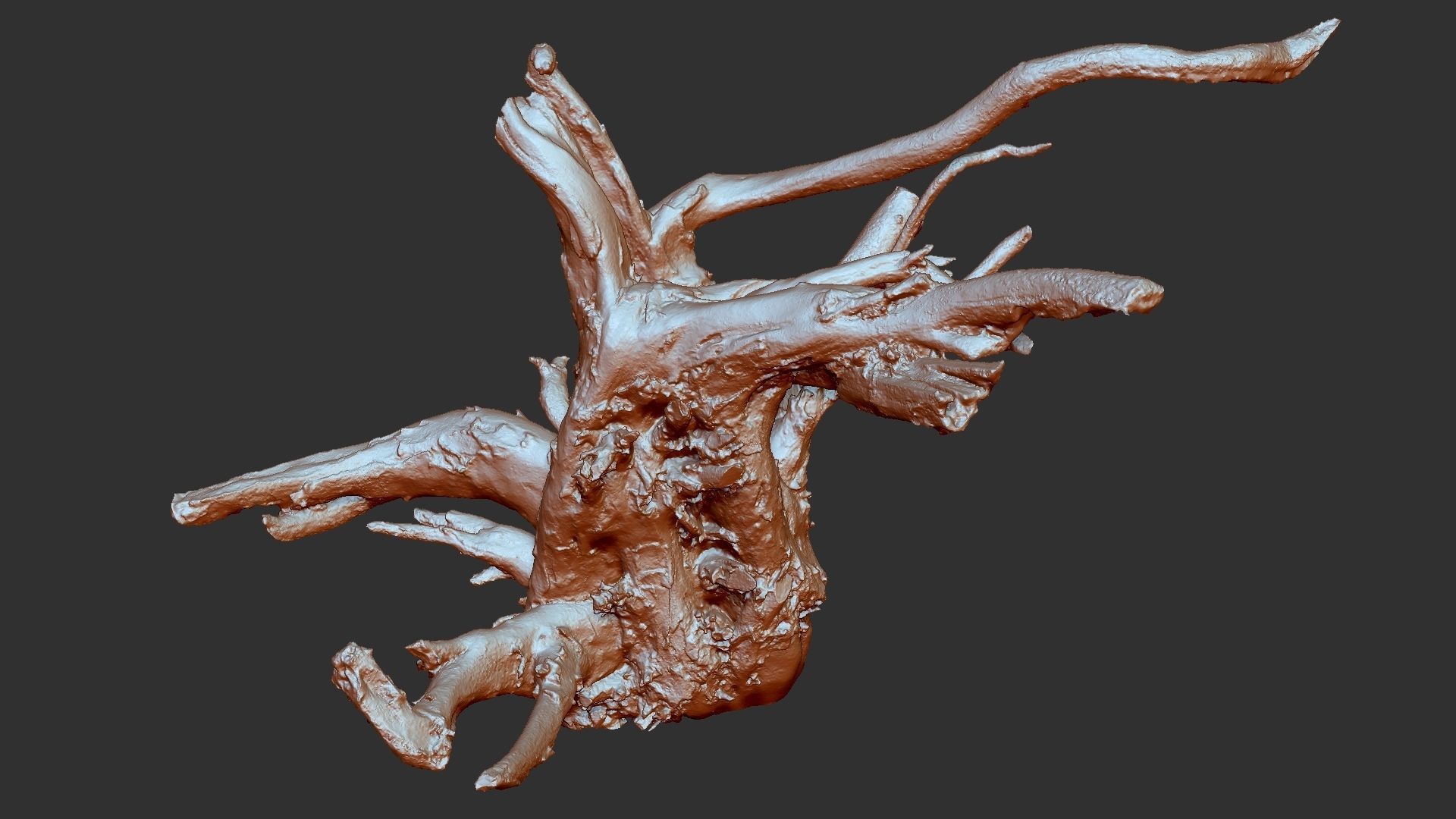 3d scan tree root in highpoly 3D model_25