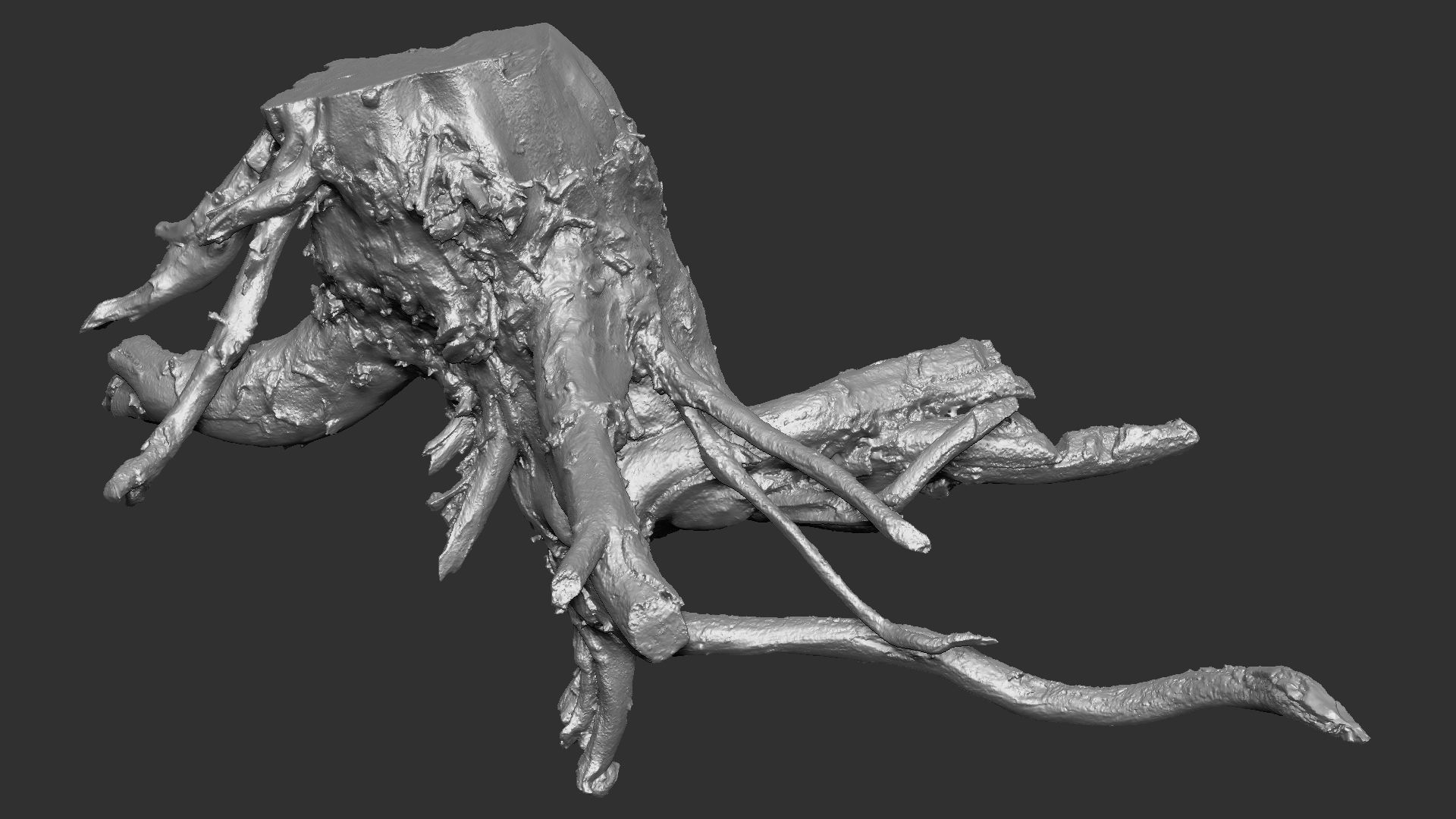 3d scan tree root in highpoly 3D model_17