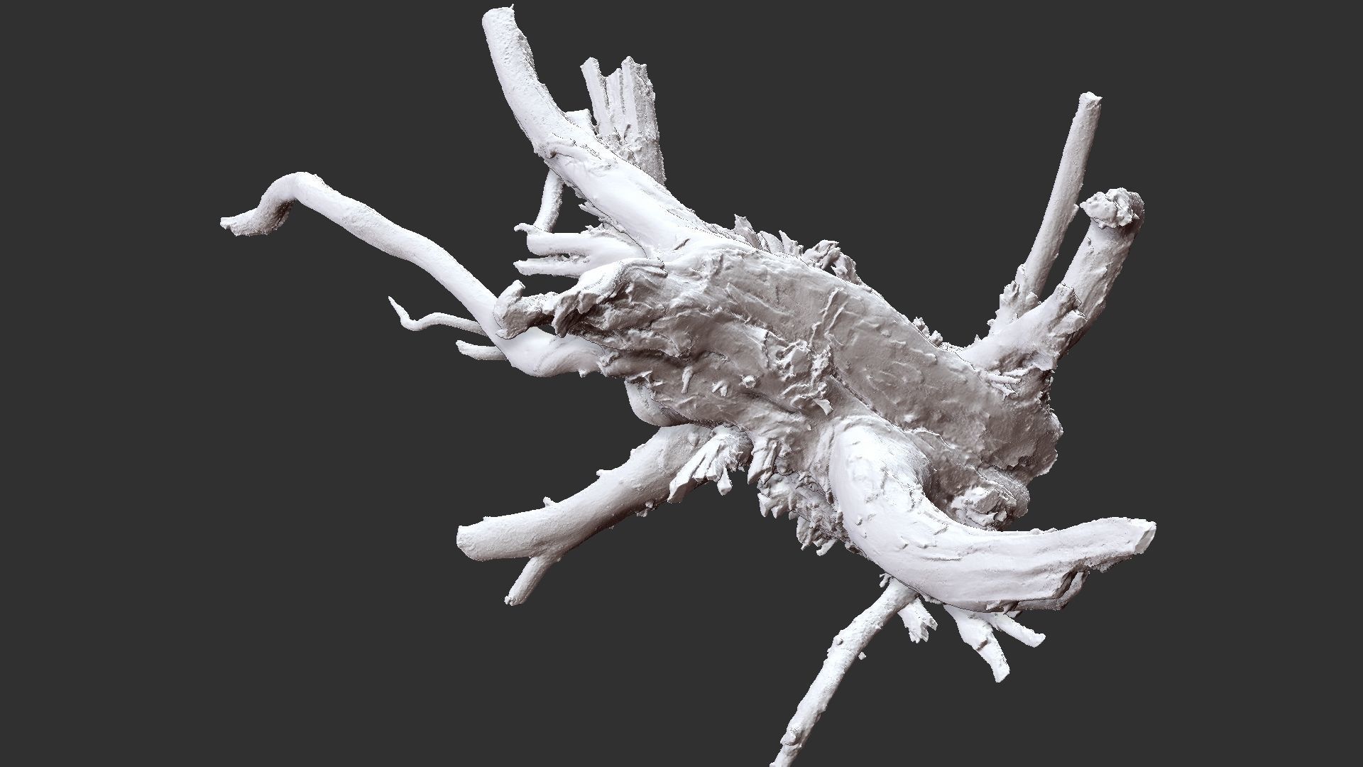 3d scan tree root in highpoly 3D model_10