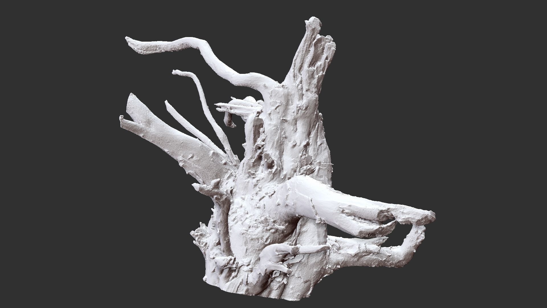 3d scan tree root in highpoly 3D model_12