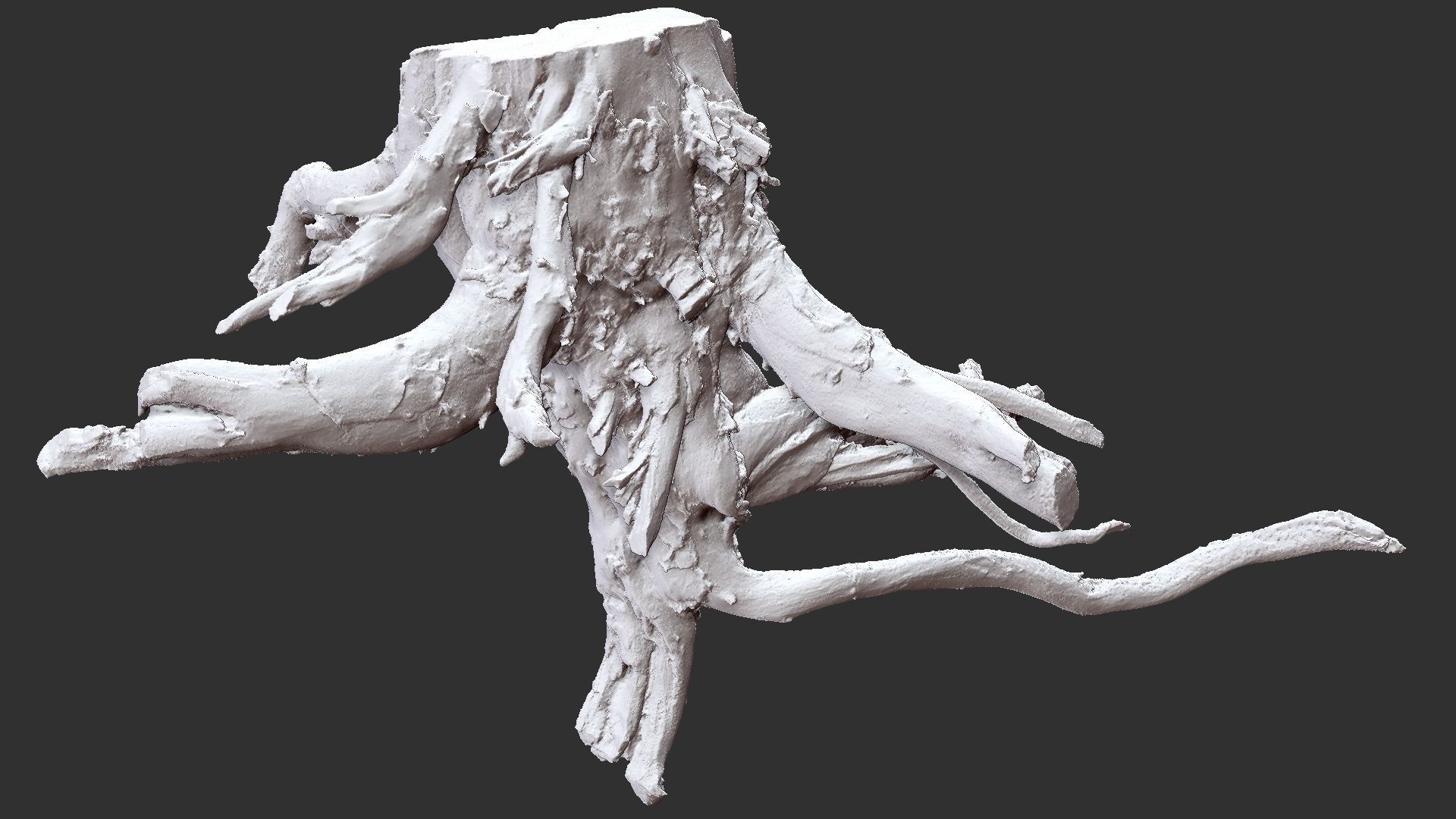 3d scan tree root in highpoly 3D model_3