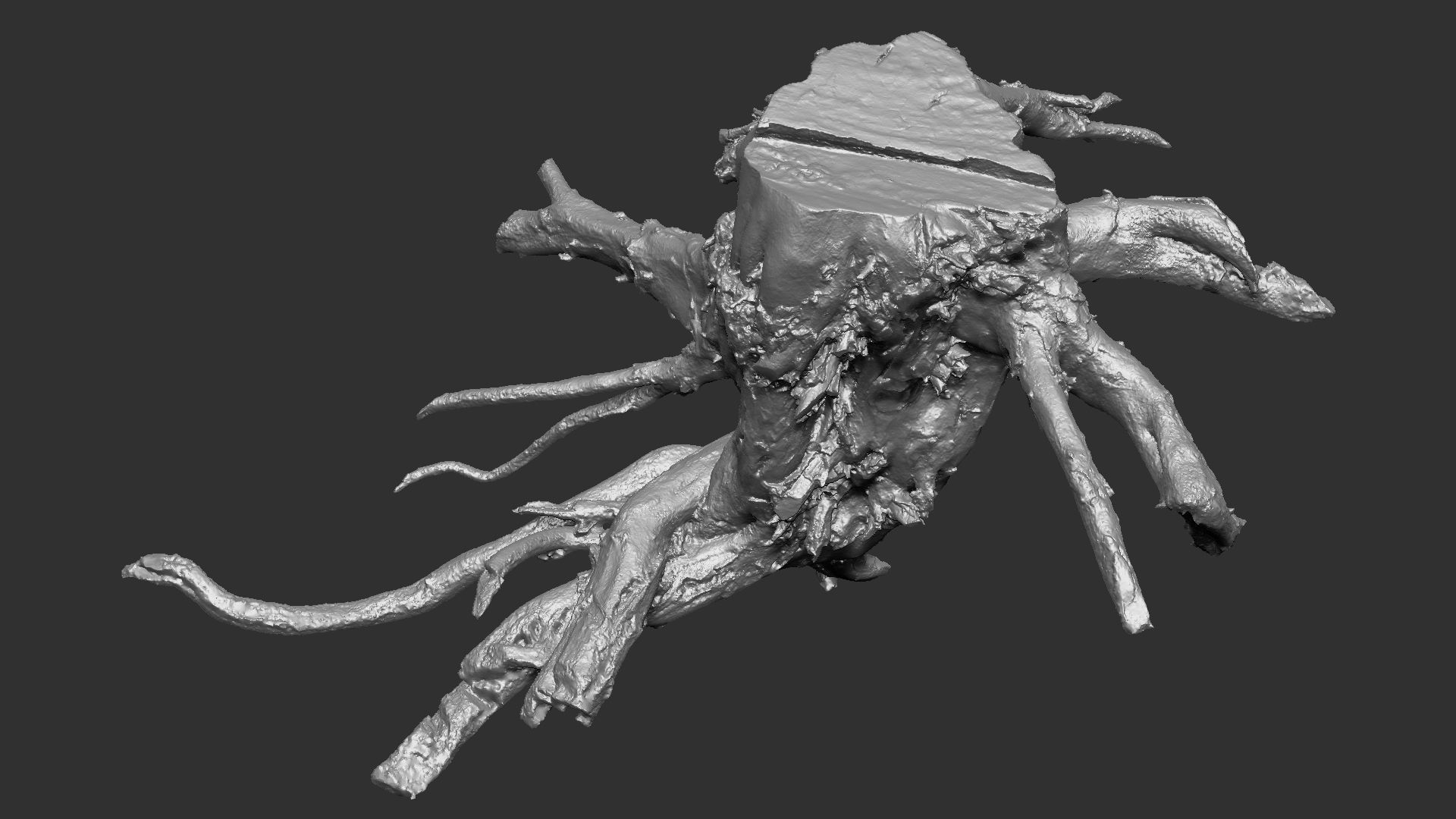 3d scan tree root in highpoly 3D model_16