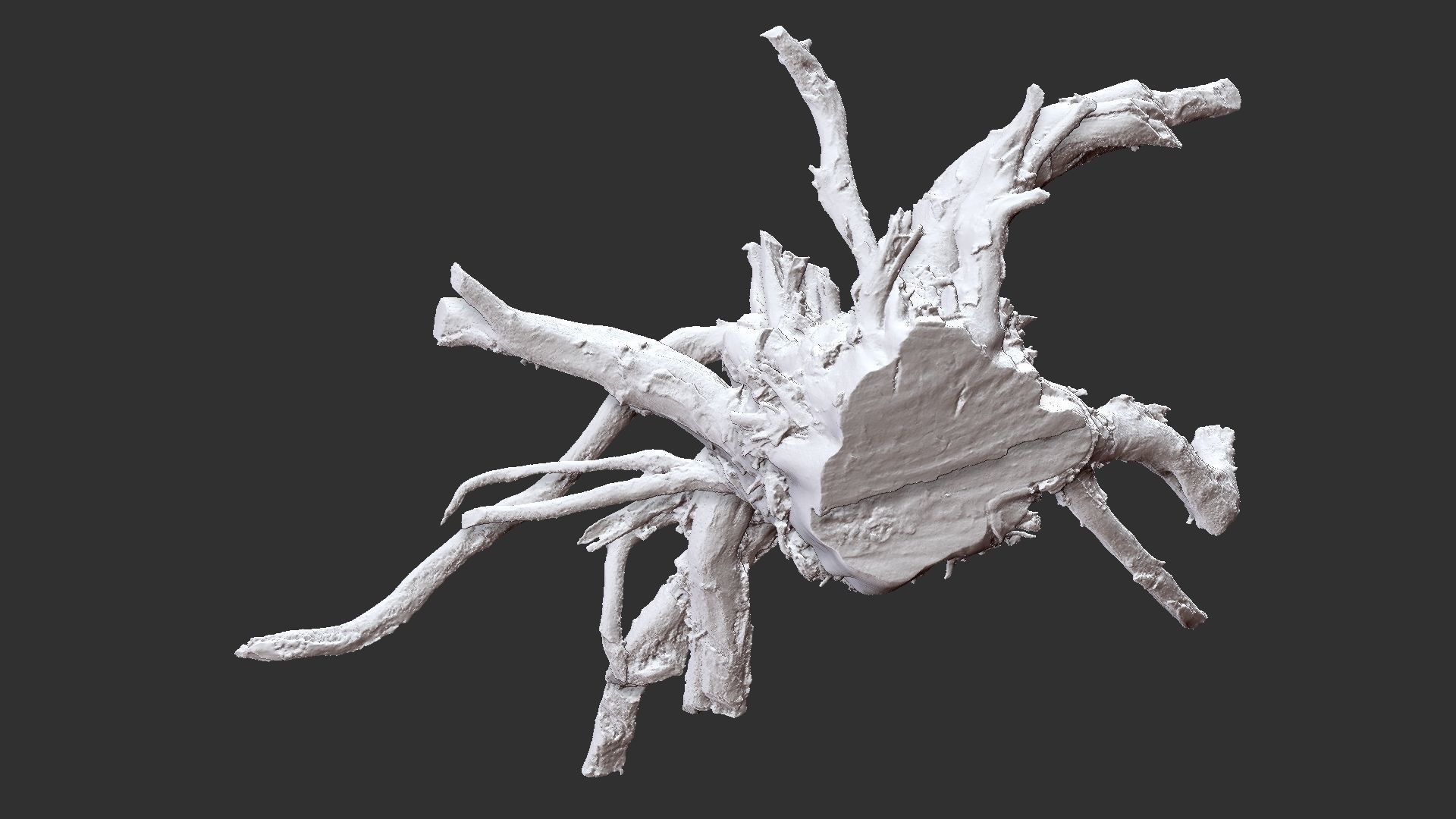 3d scan tree root in highpoly 3D model_6