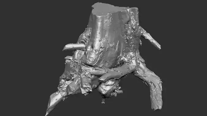 3d scan of tree root in highpoly