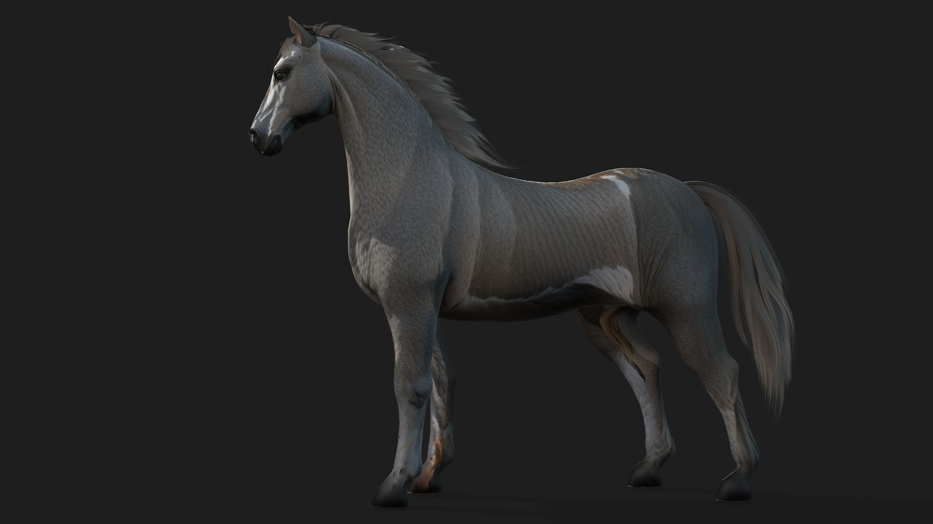 Horse A4 3D model_2