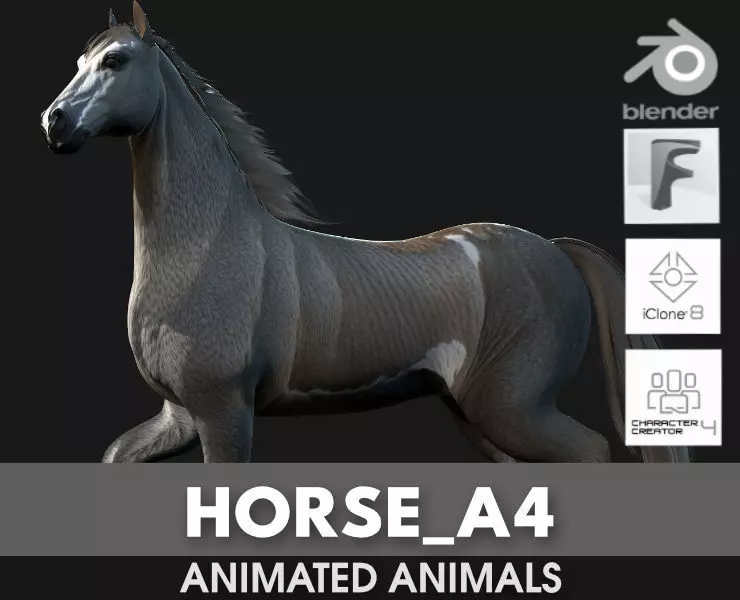 Horse A4 3D model_0