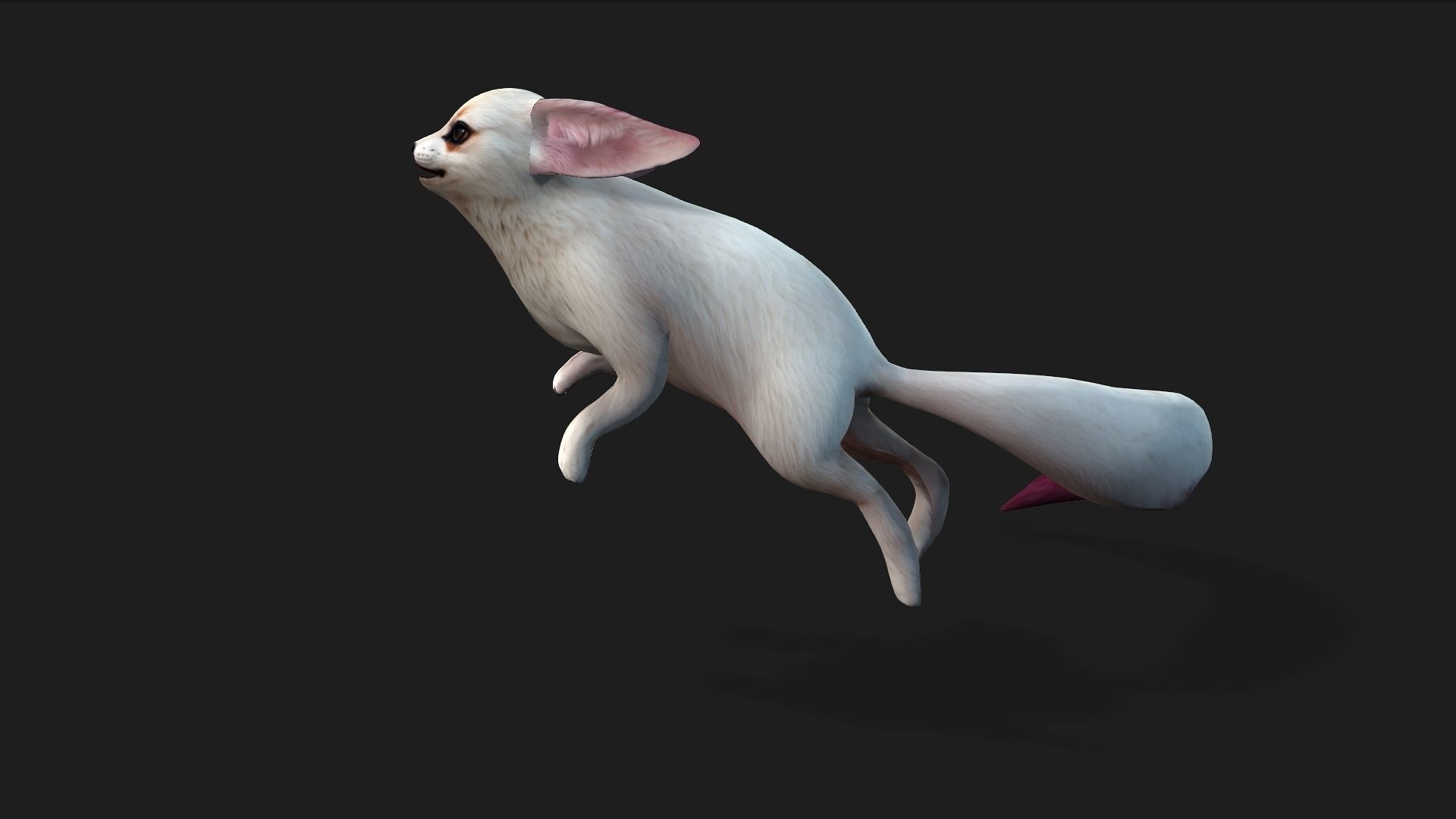 Fox A1 3D model_5