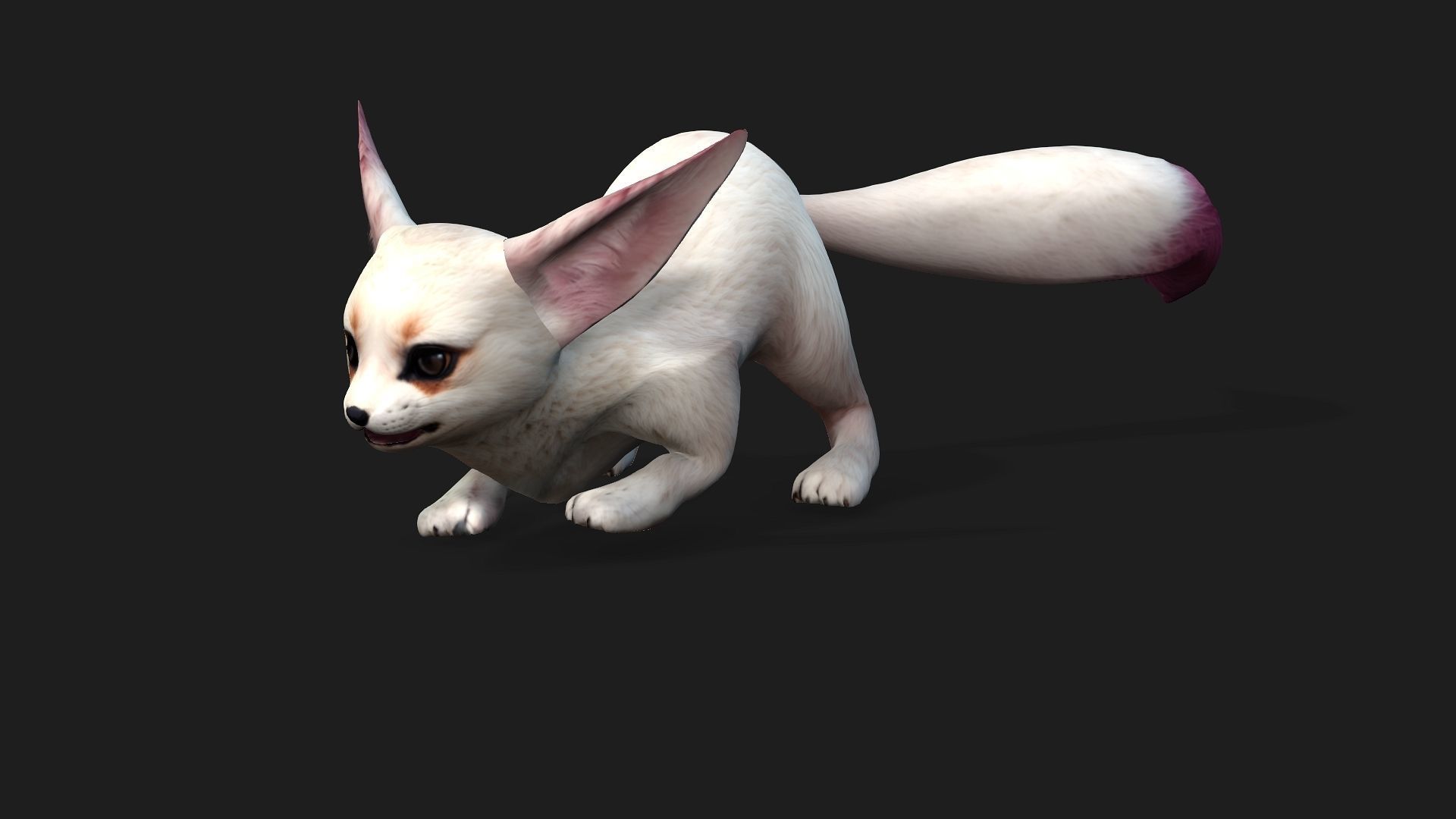 Fox A1 3D model_3