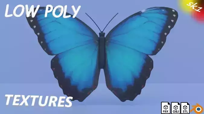 Blue Morpho Butterfly