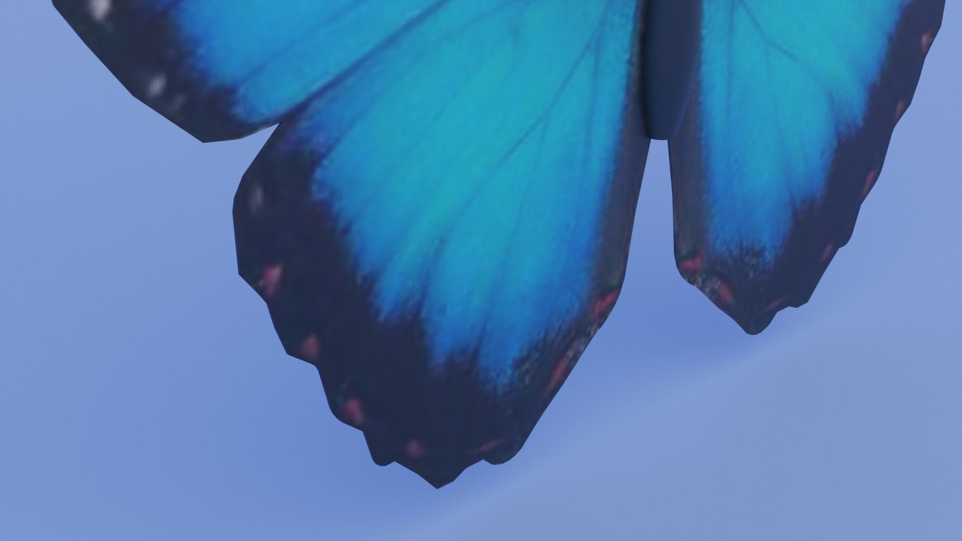 Blue Morpho Butterfly Low-poly 3D model_5