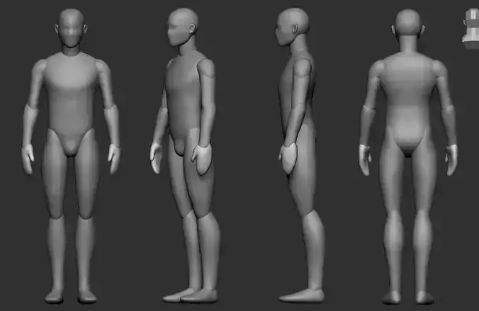 Stylized Male Base Mesh Polygroups  3D print model