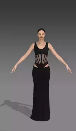 Dress corset and paneled detail