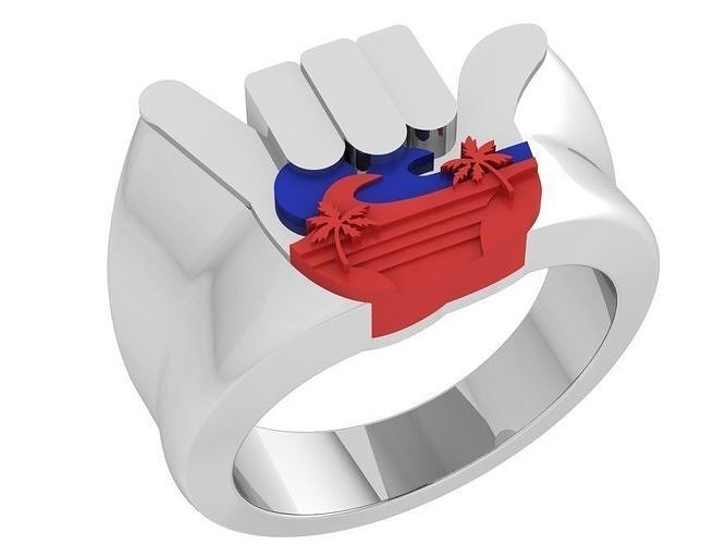 Shaka Ring 3853 3D print model