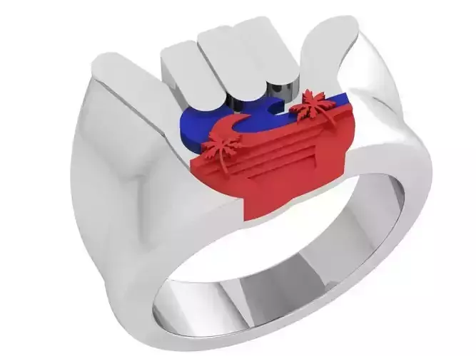 Shaka Ring 3853 3D print model