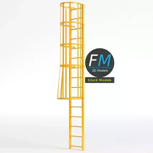 Modular ladder with cage