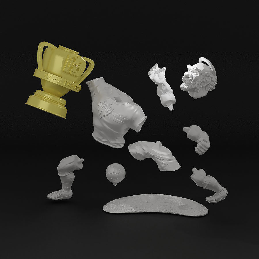 Sao Paulo campeao da Copa do Brasil 3D print model_3