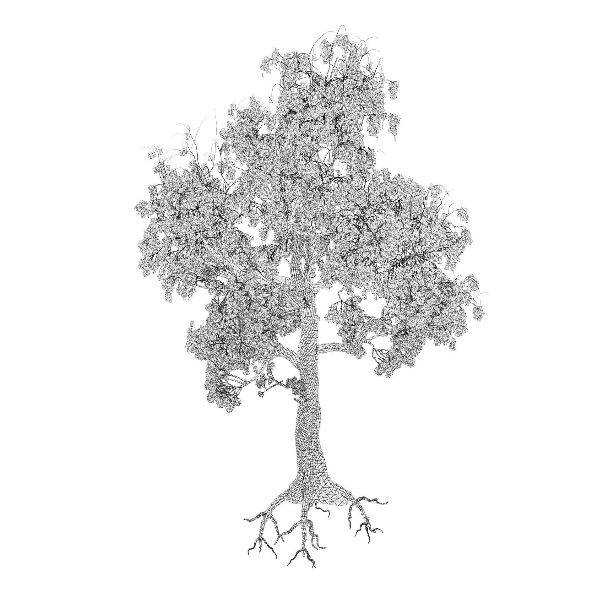 Gum Trees 3D Pack with Summer Fall and Winter Leaf Colors 3D model_10