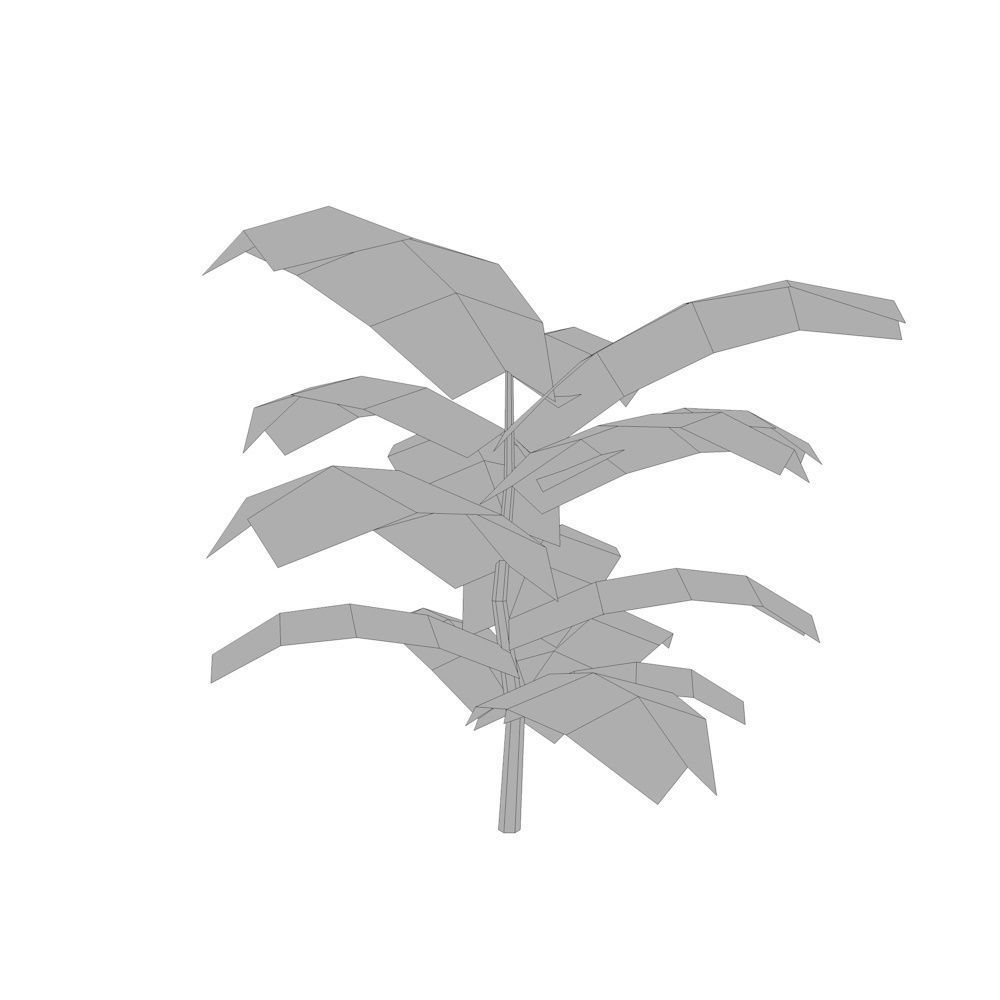 Fern Plant Low-poly 3D model_4