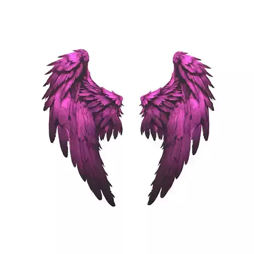 Low Poly Wings v5 002