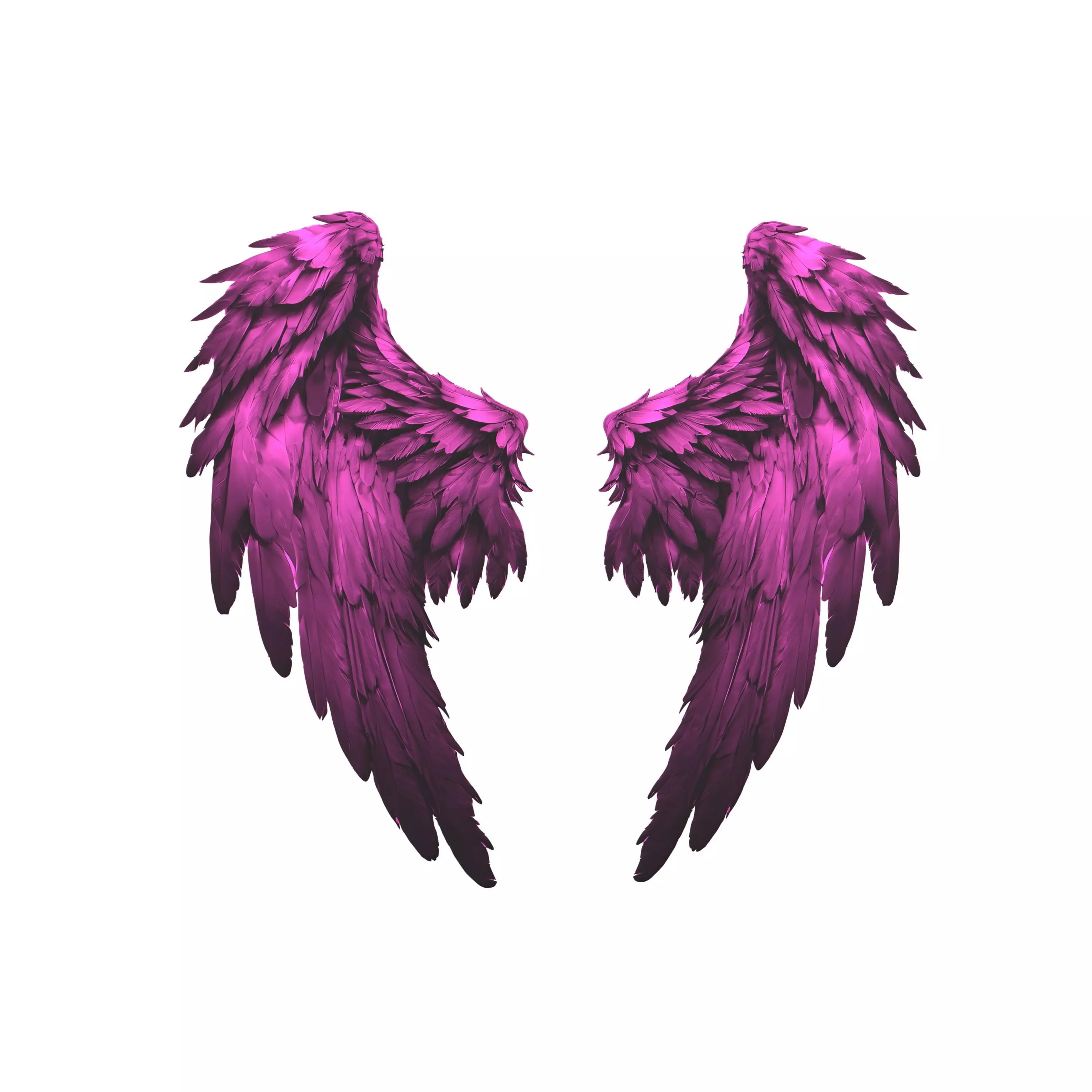 Low Poly Wings v5 002 Low-poly 3D model