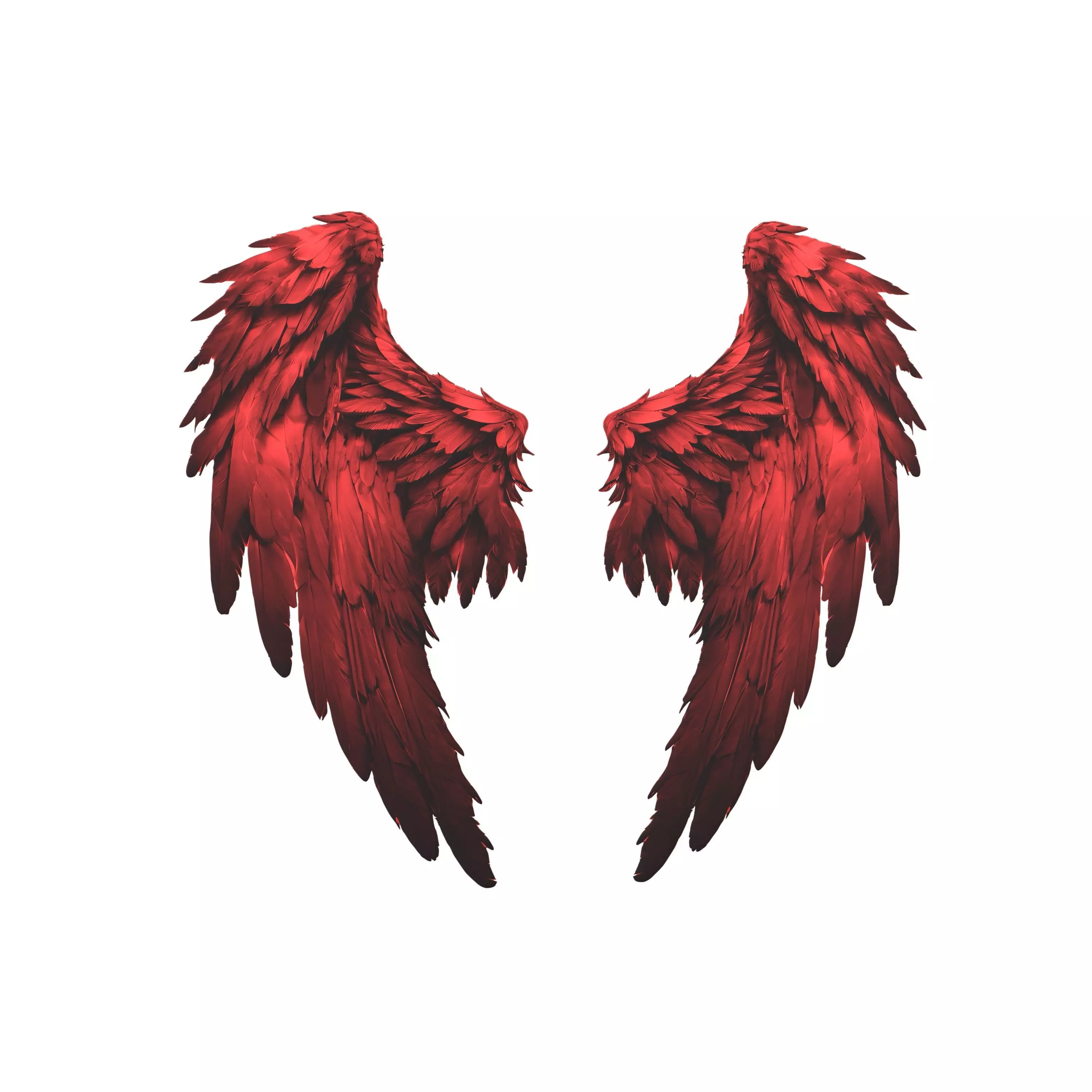Low Poly Wings v5 003 Low-poly 3D model