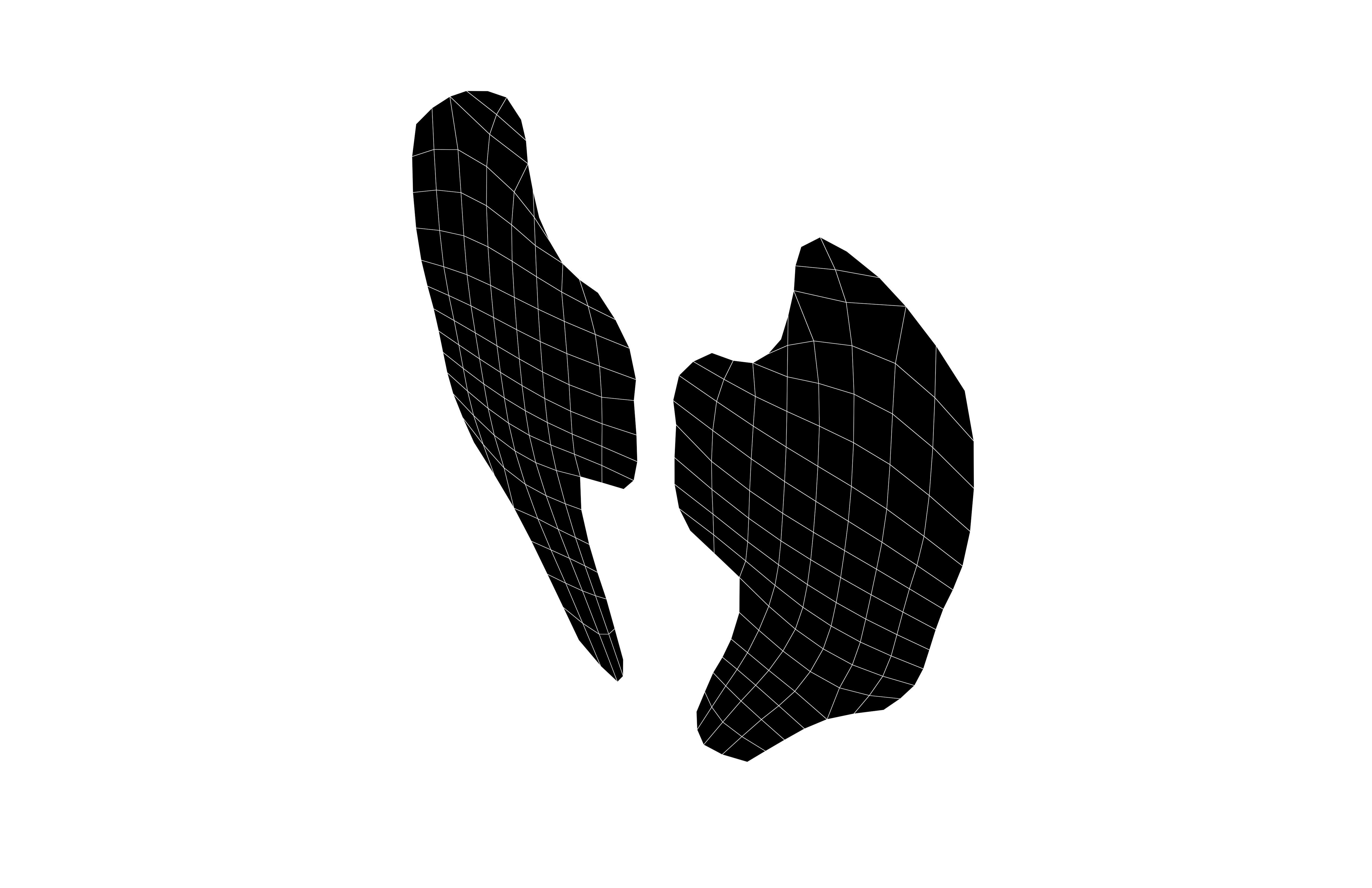 Low Poly Wings v5 004 Low-poly 3D model_5