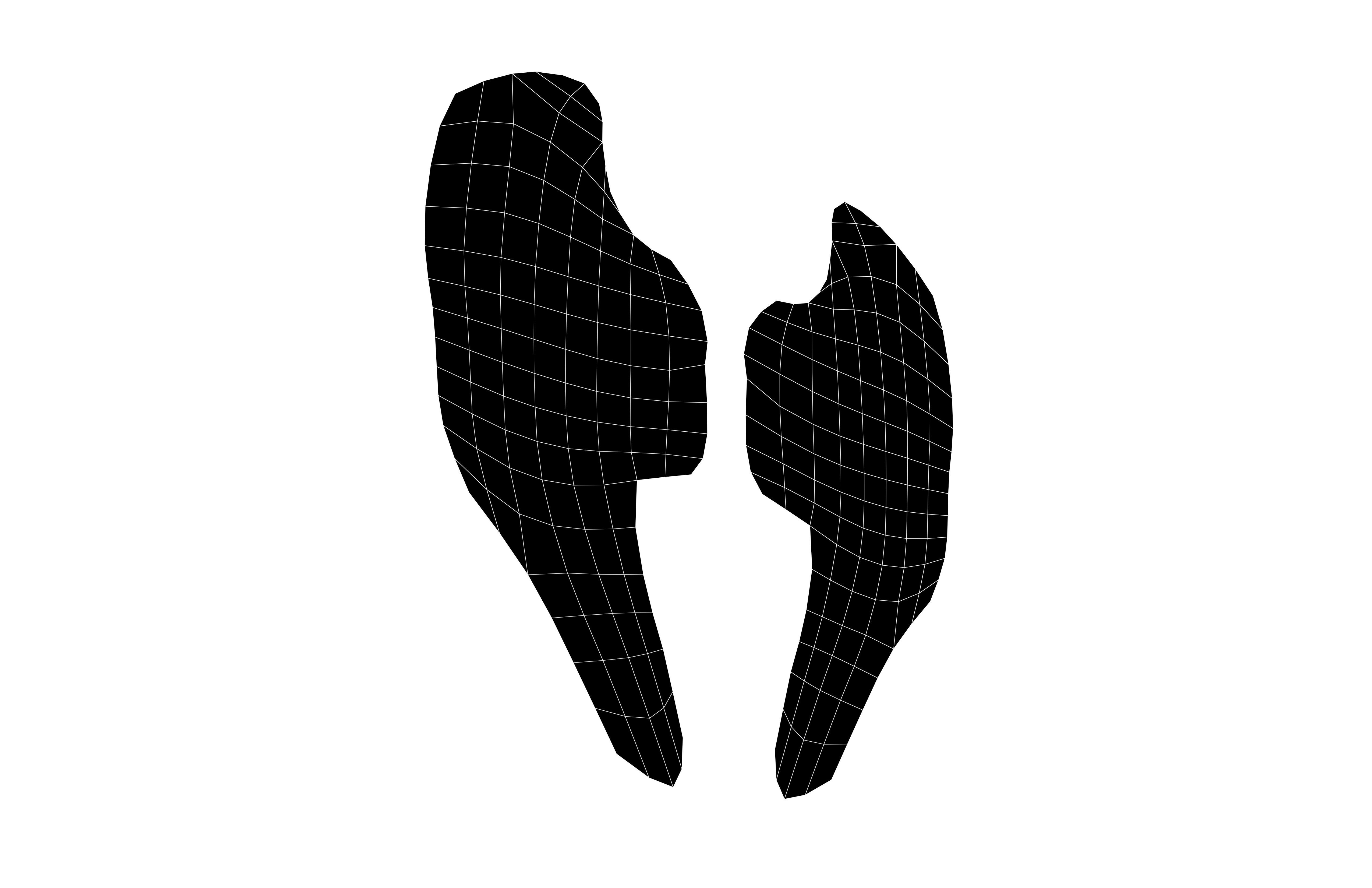 Low Poly Wings v5 004 Low-poly 3D model_7