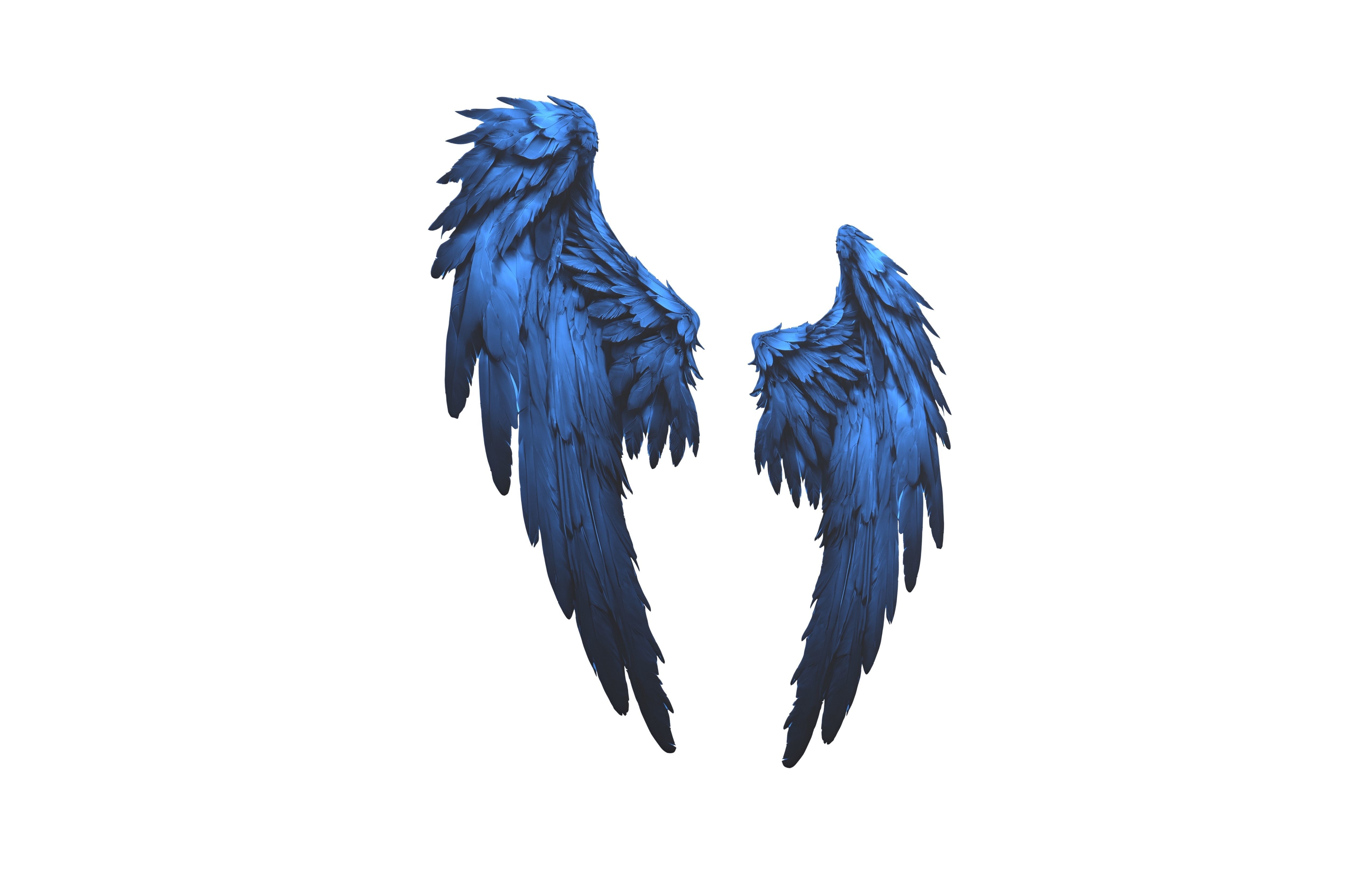 Low Poly Wings v5 004 Low-poly 3D model_2