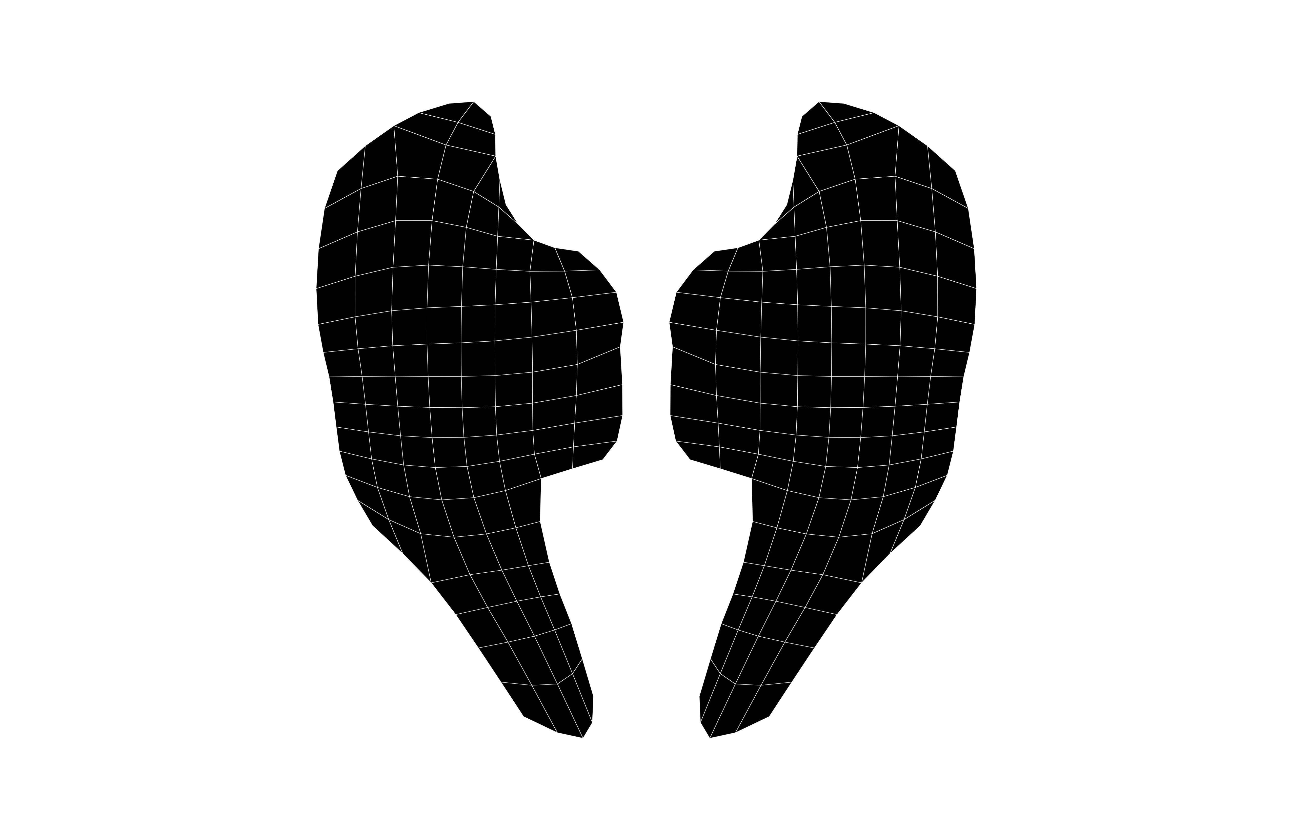 Low Poly Wings v5 004 Low-poly 3D model_4