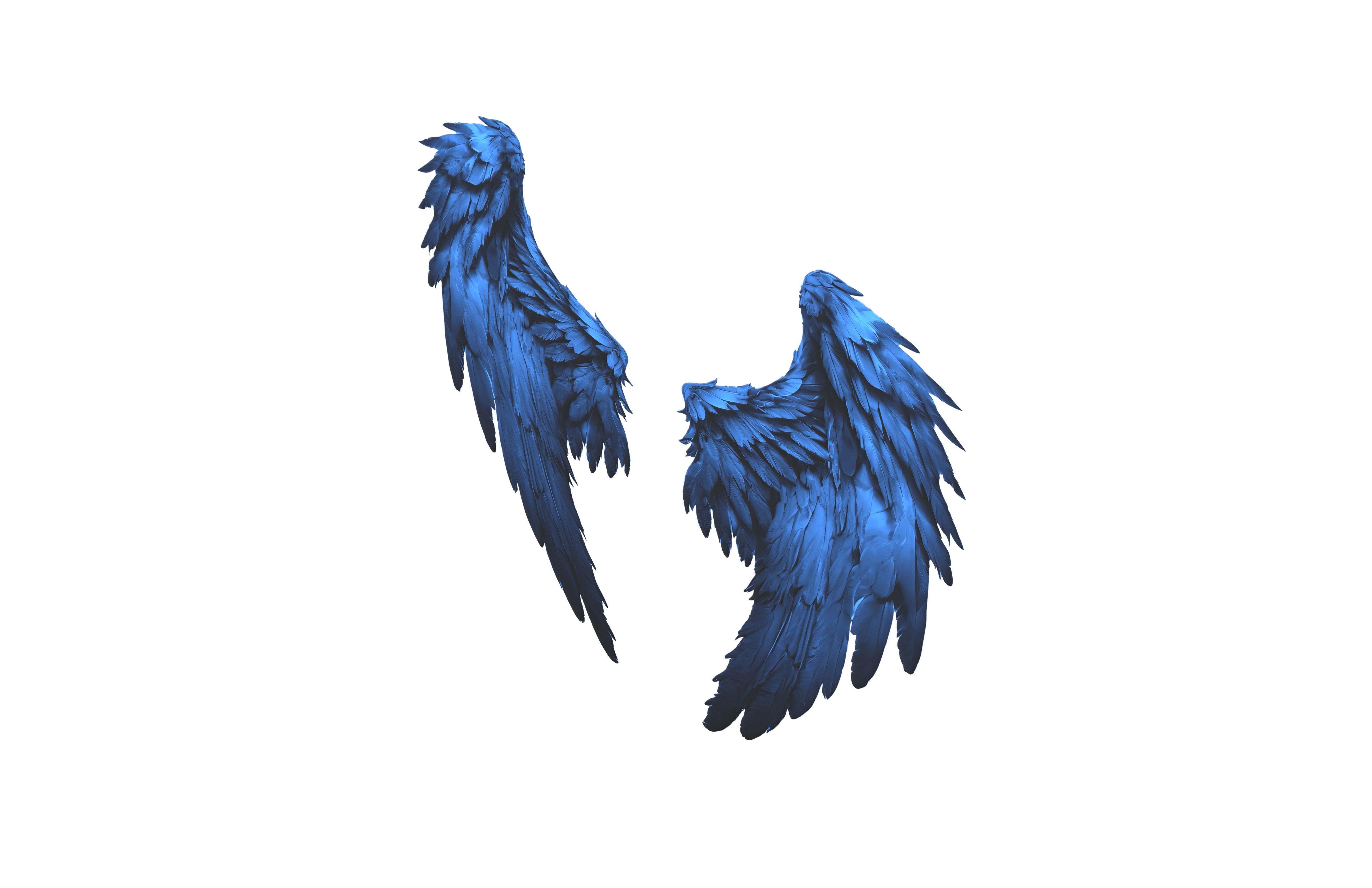 Low Poly Wings v5 004 Low-poly 3D model_3